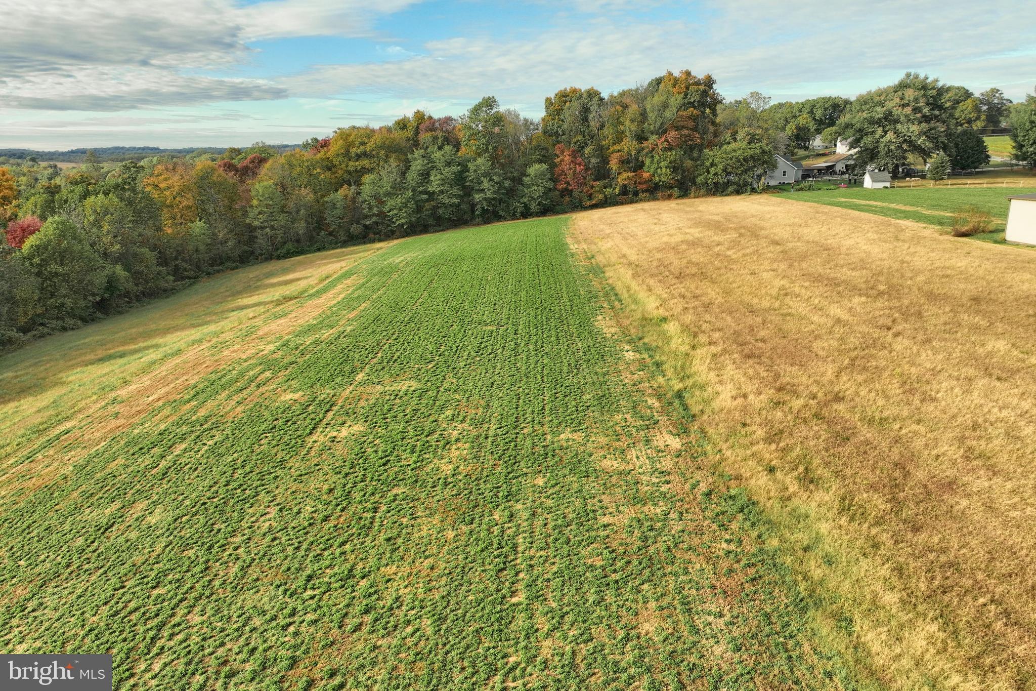 BROGUE - Residential