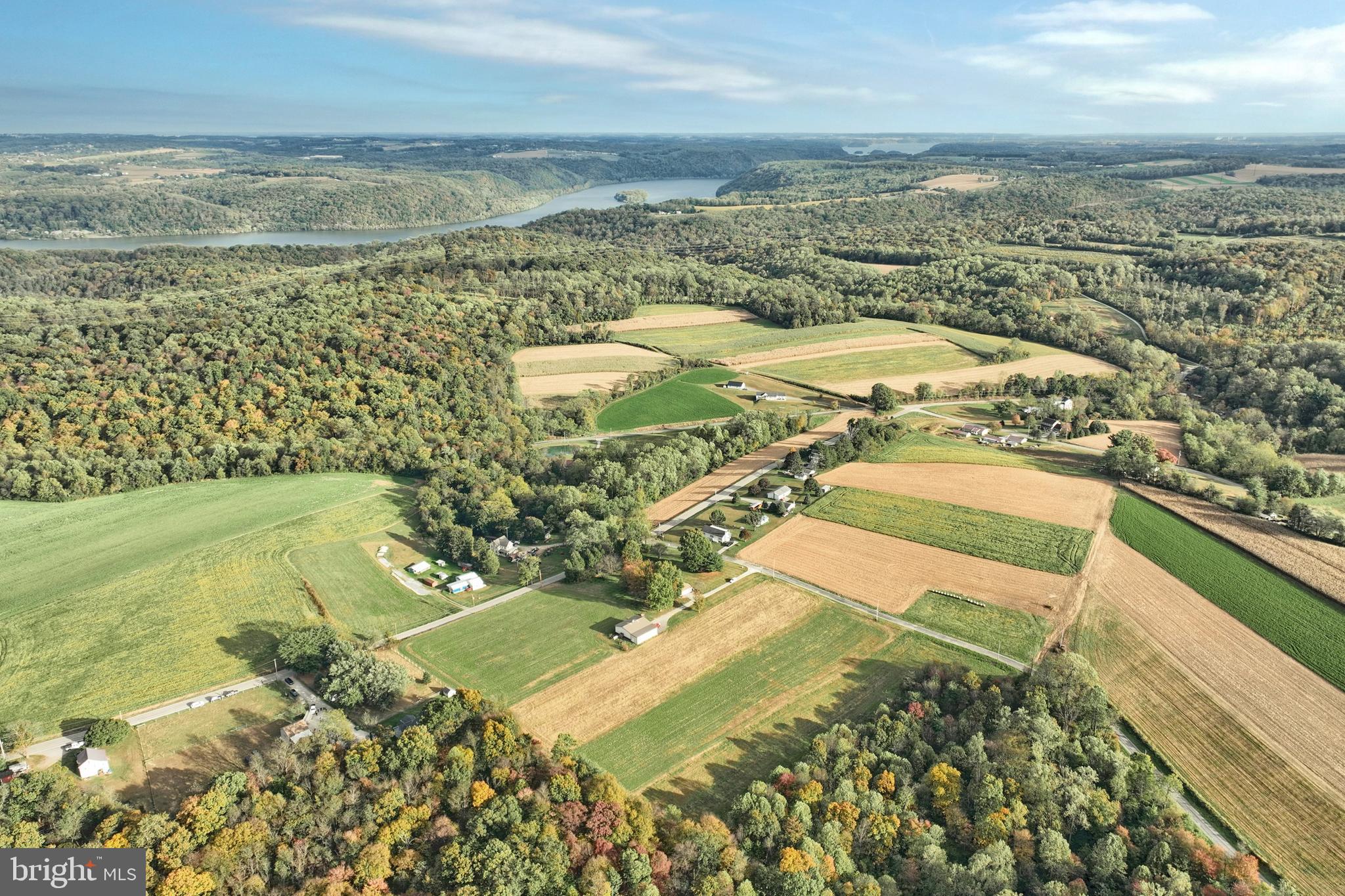 BROGUE - Residential