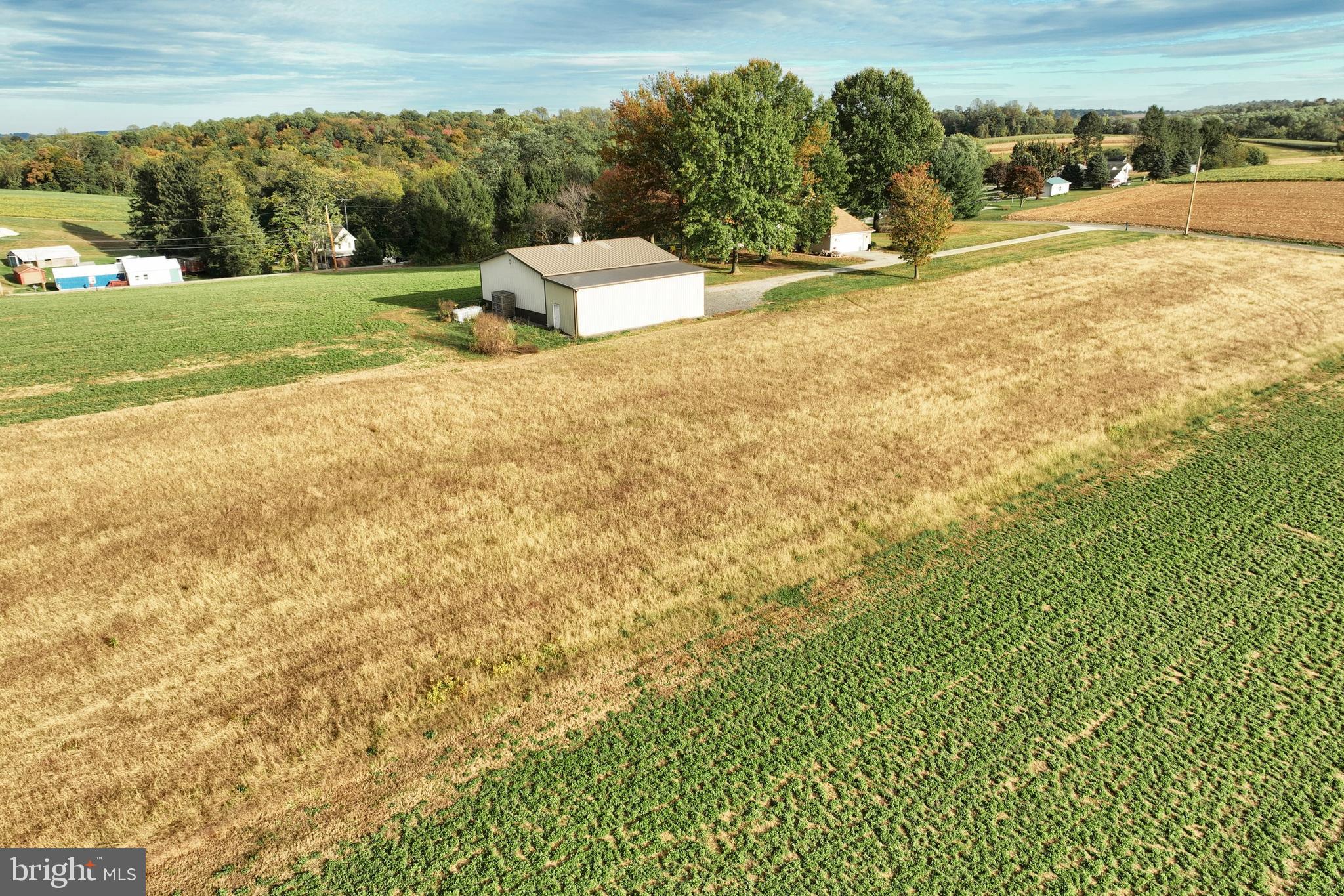 BROGUE - Residential