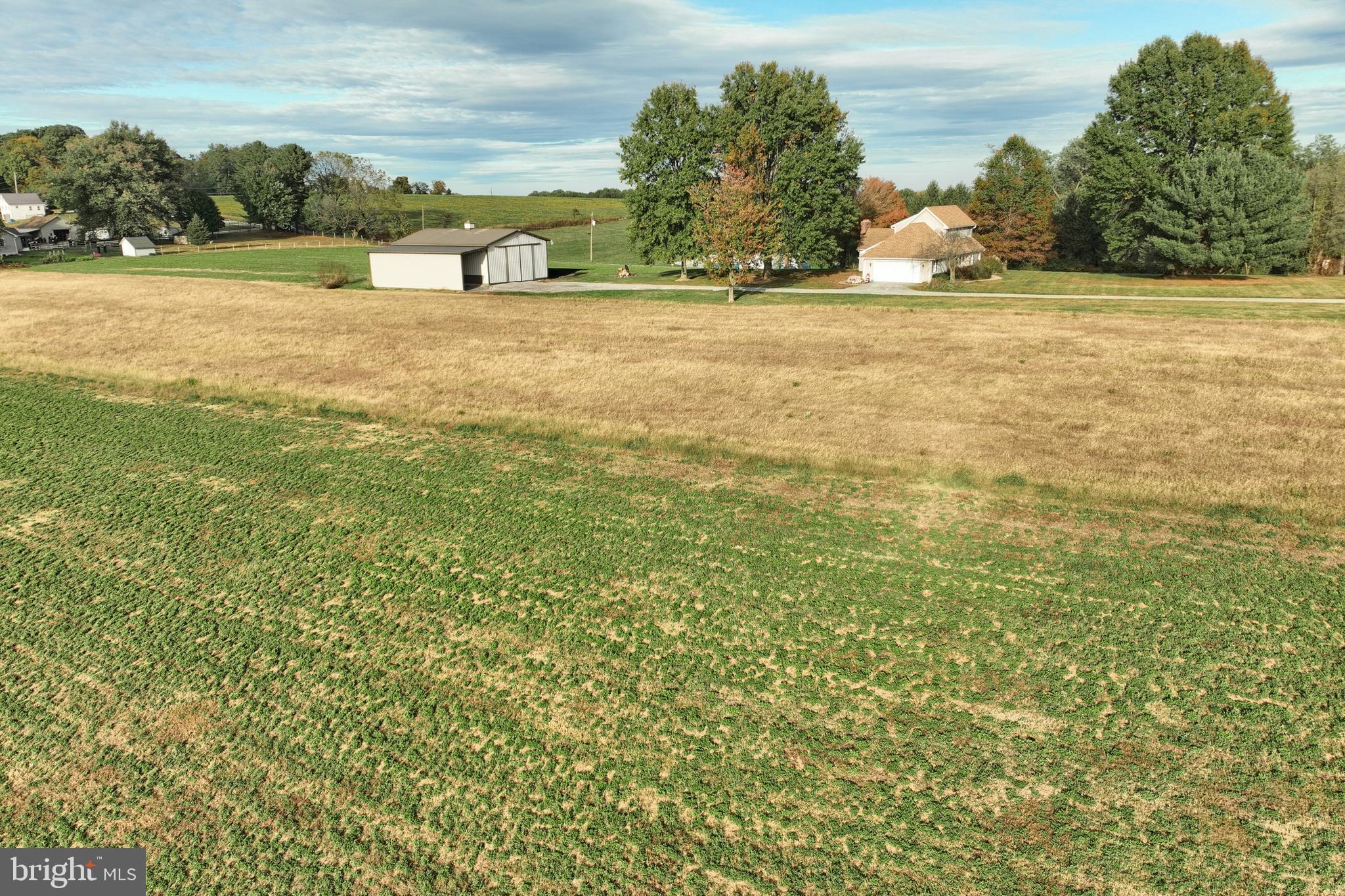 BROGUE - Residential