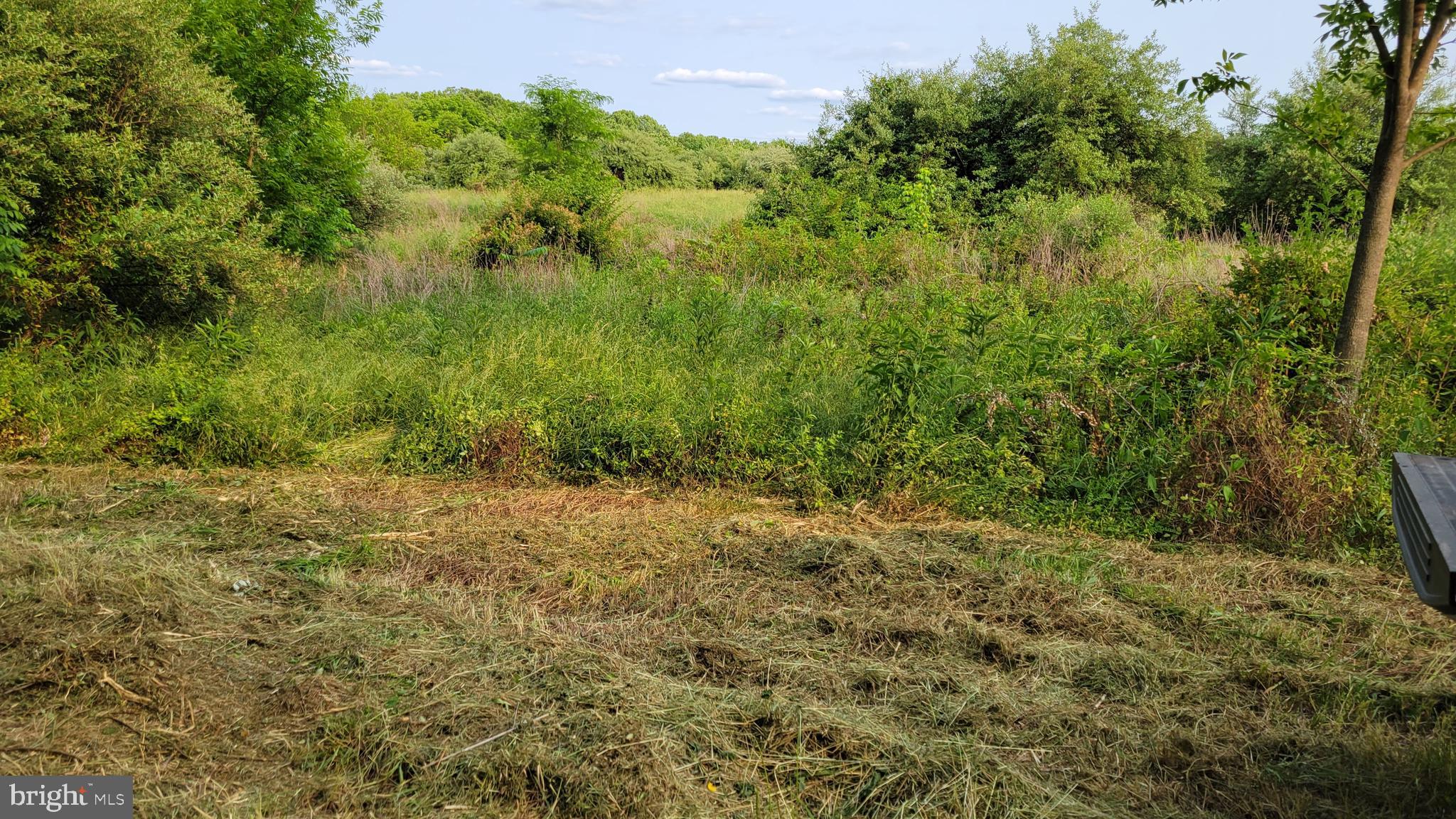 NONE AVAILABLE - Farm