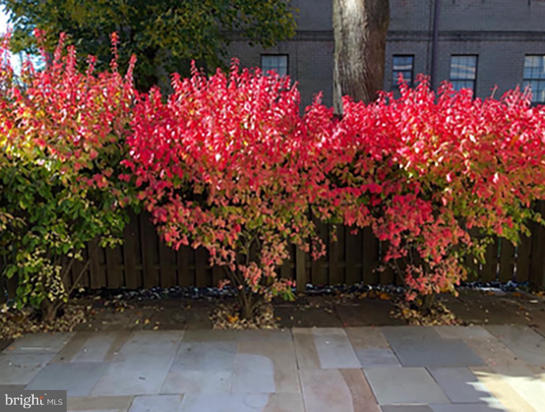 GREENLEAF - Residential