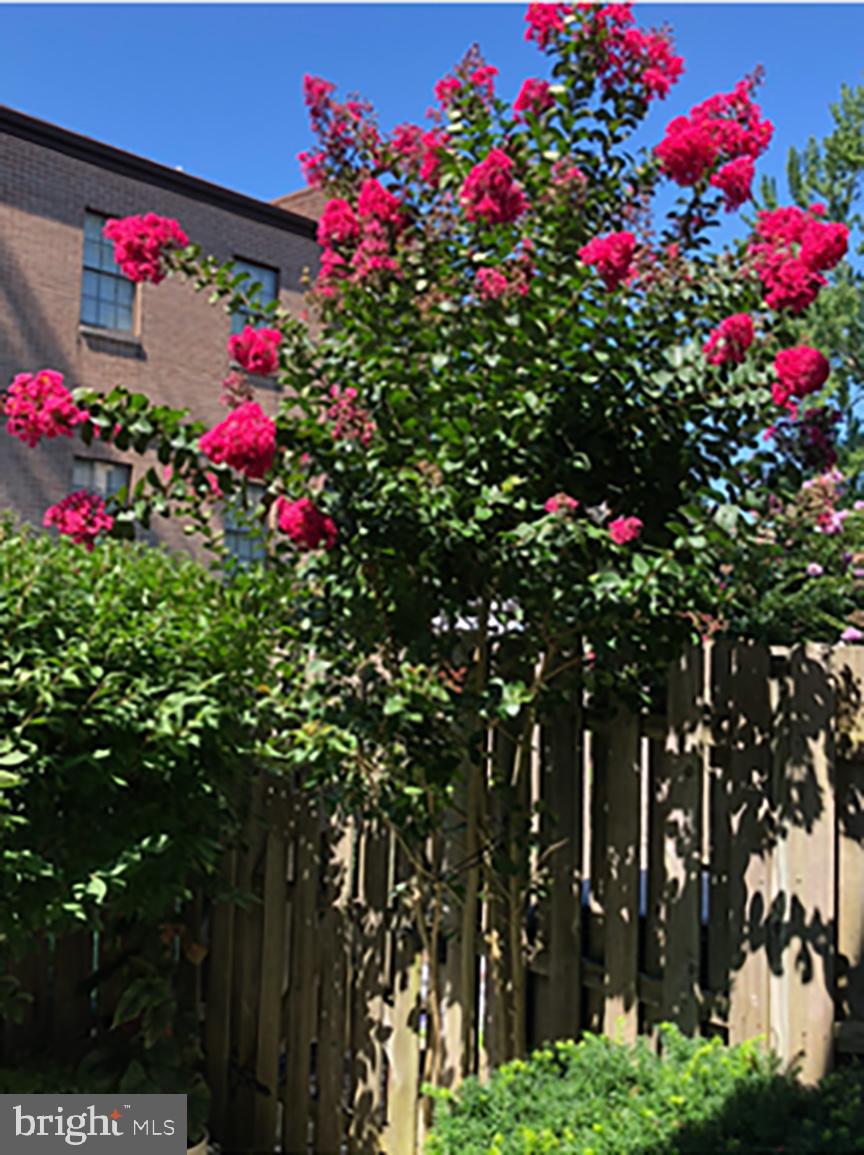 GREENLEAF - Residential