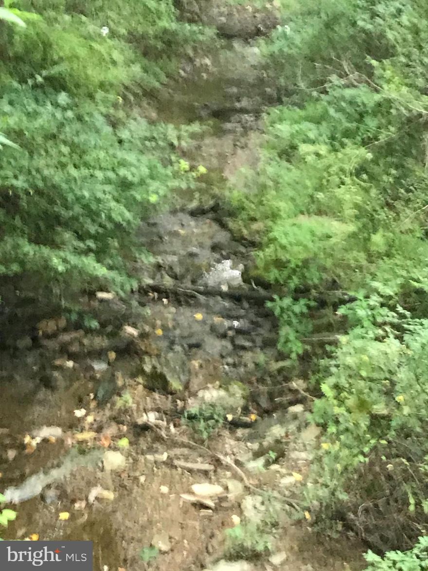 almost an acre of rural land behind a church's parcels invites Frank Lloyd Wright-inspired imagination for possibilities over stream bed   -  wonderful neighborhood!