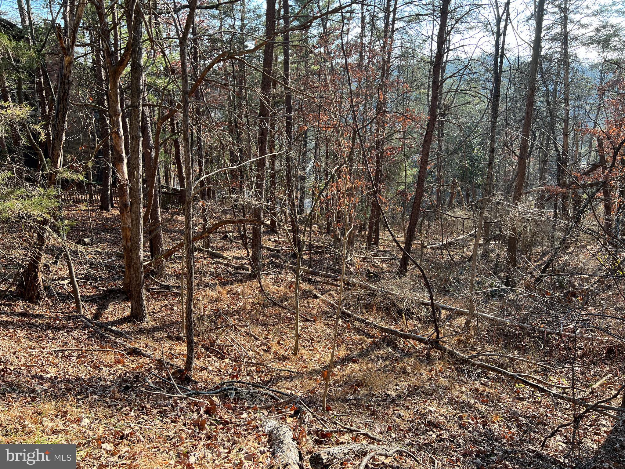 BRYCE  MOUNTAIN  RESORT - Land