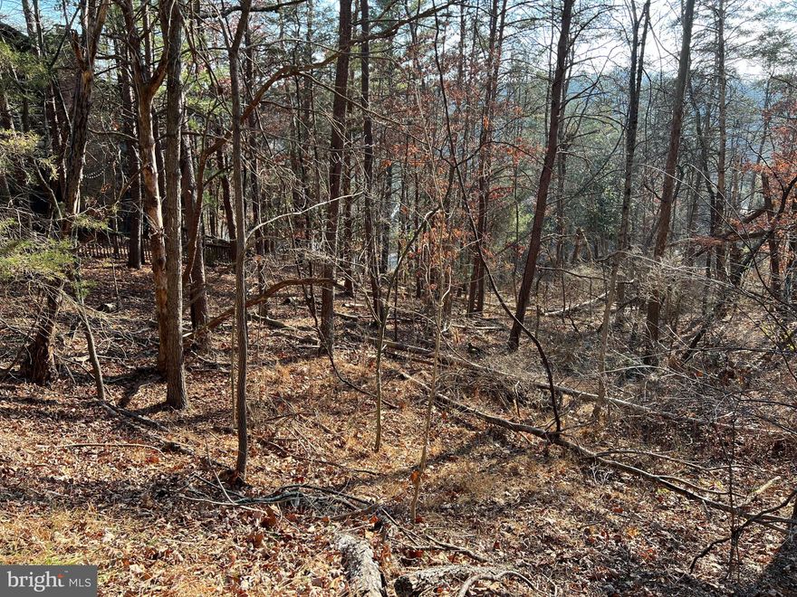 Dream homes welcomed! Bring your builder and your plans and let's get started. Water and sewer come to the lot line. There is a $10,000 hookup fee when you build! Great potential for nice views and easy access to all Bryce amenities! Come take a look!