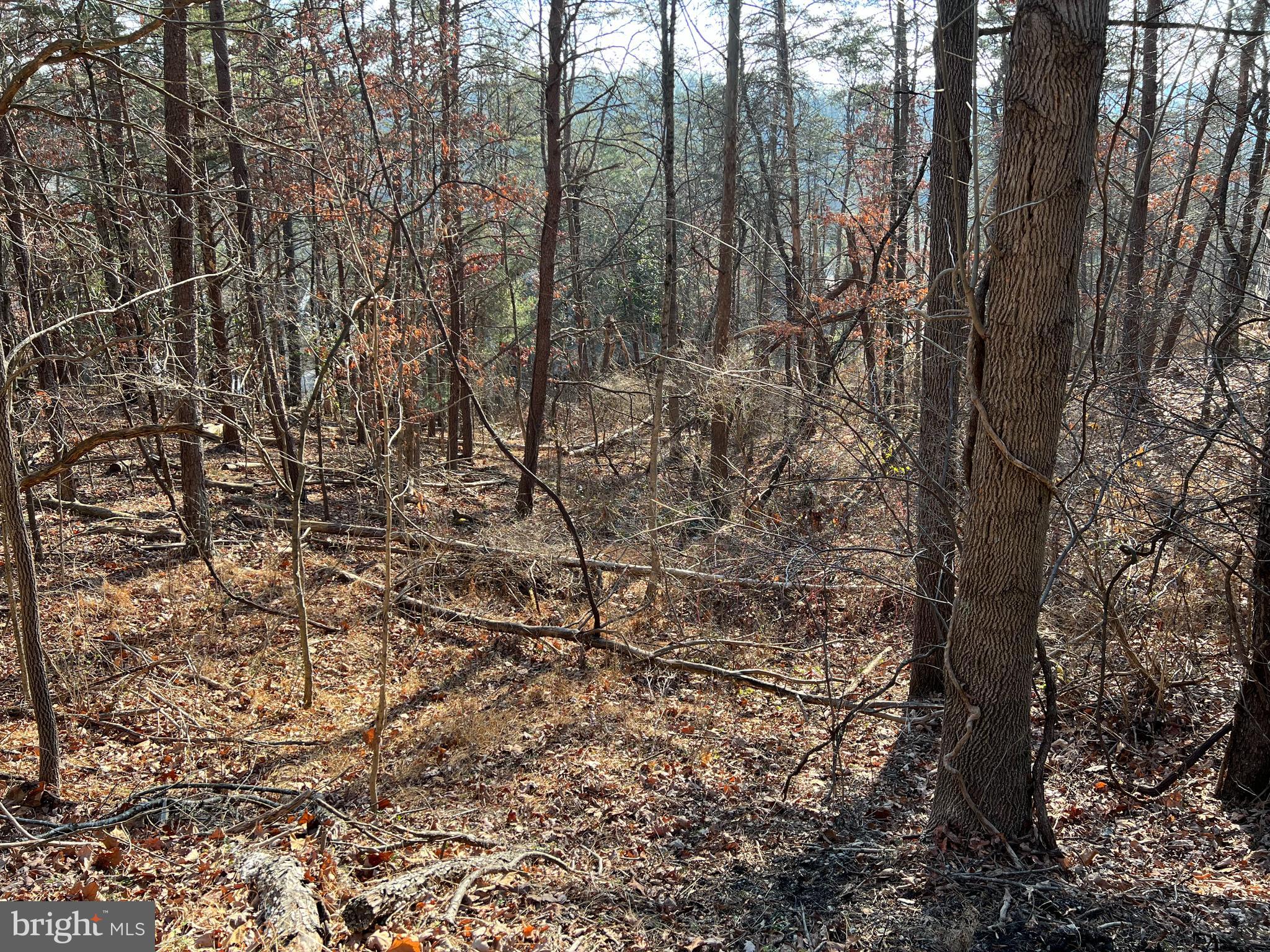 BRYCE  MOUNTAIN  RESORT - Land