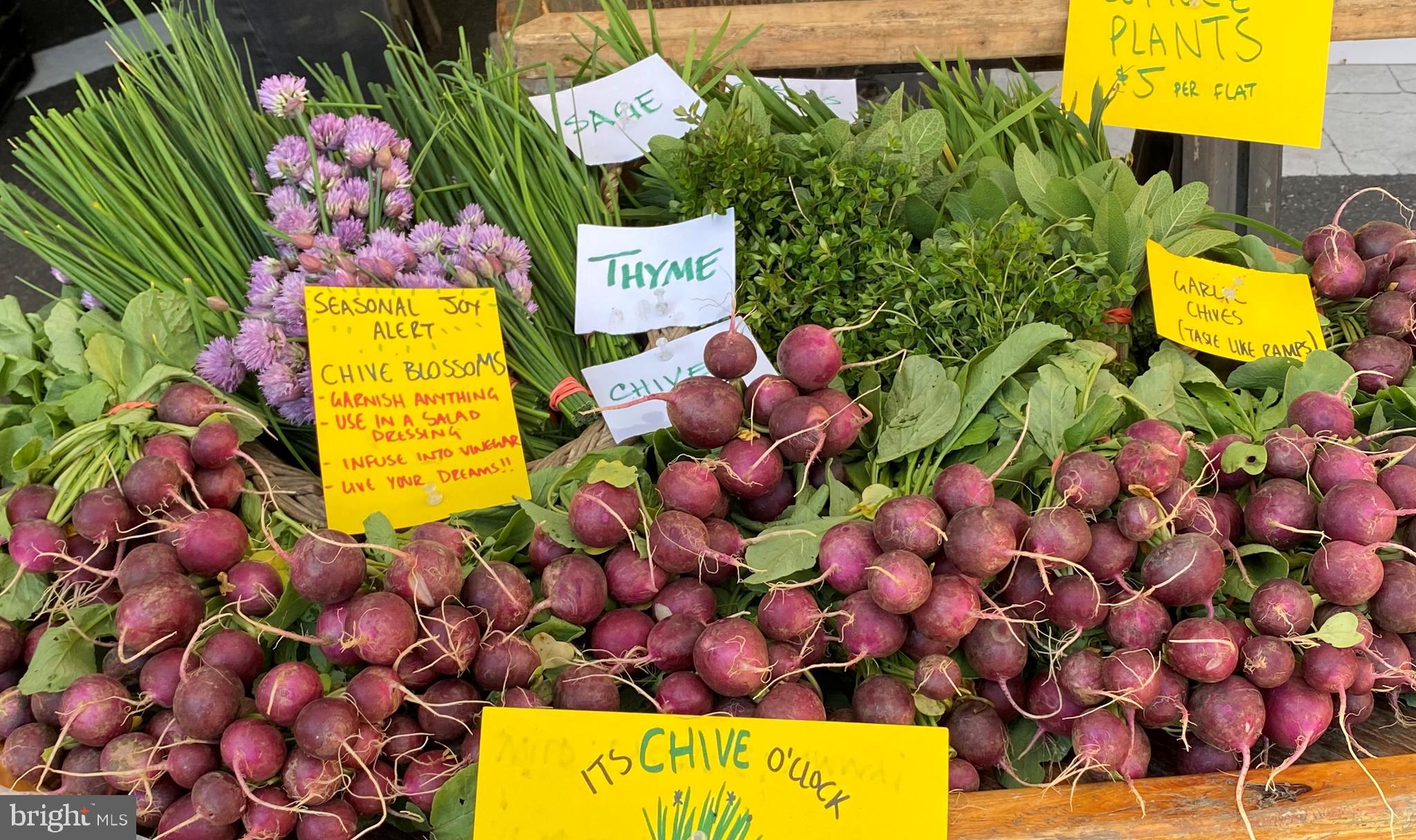 LYON VILLAGE - Residential