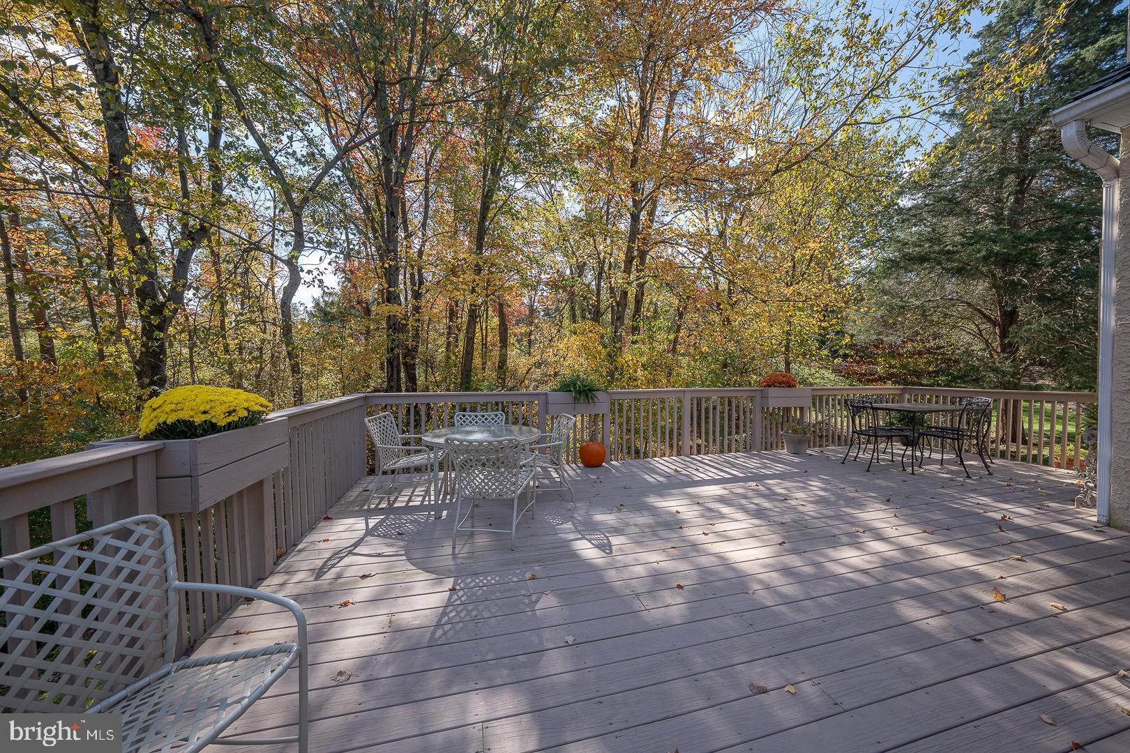 WAYNESBOROUGH WOOD - Residential