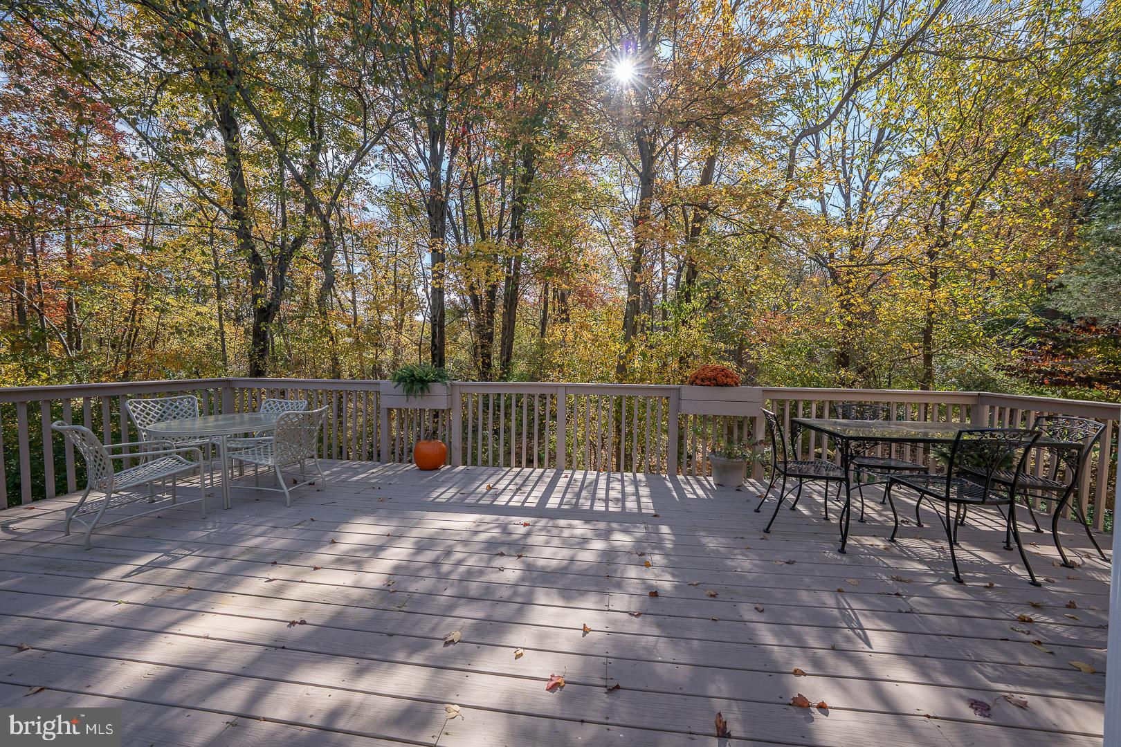 WAYNESBOROUGH WOOD - Residential