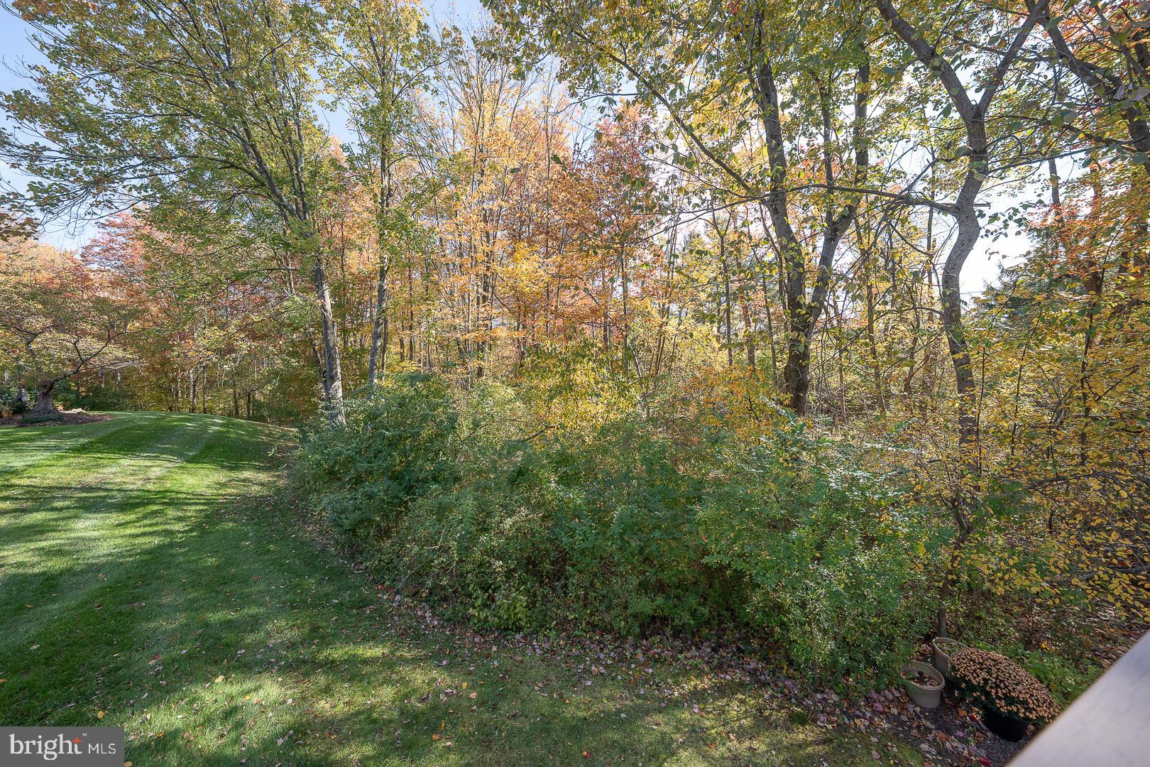 WAYNESBOROUGH WOOD - Residential