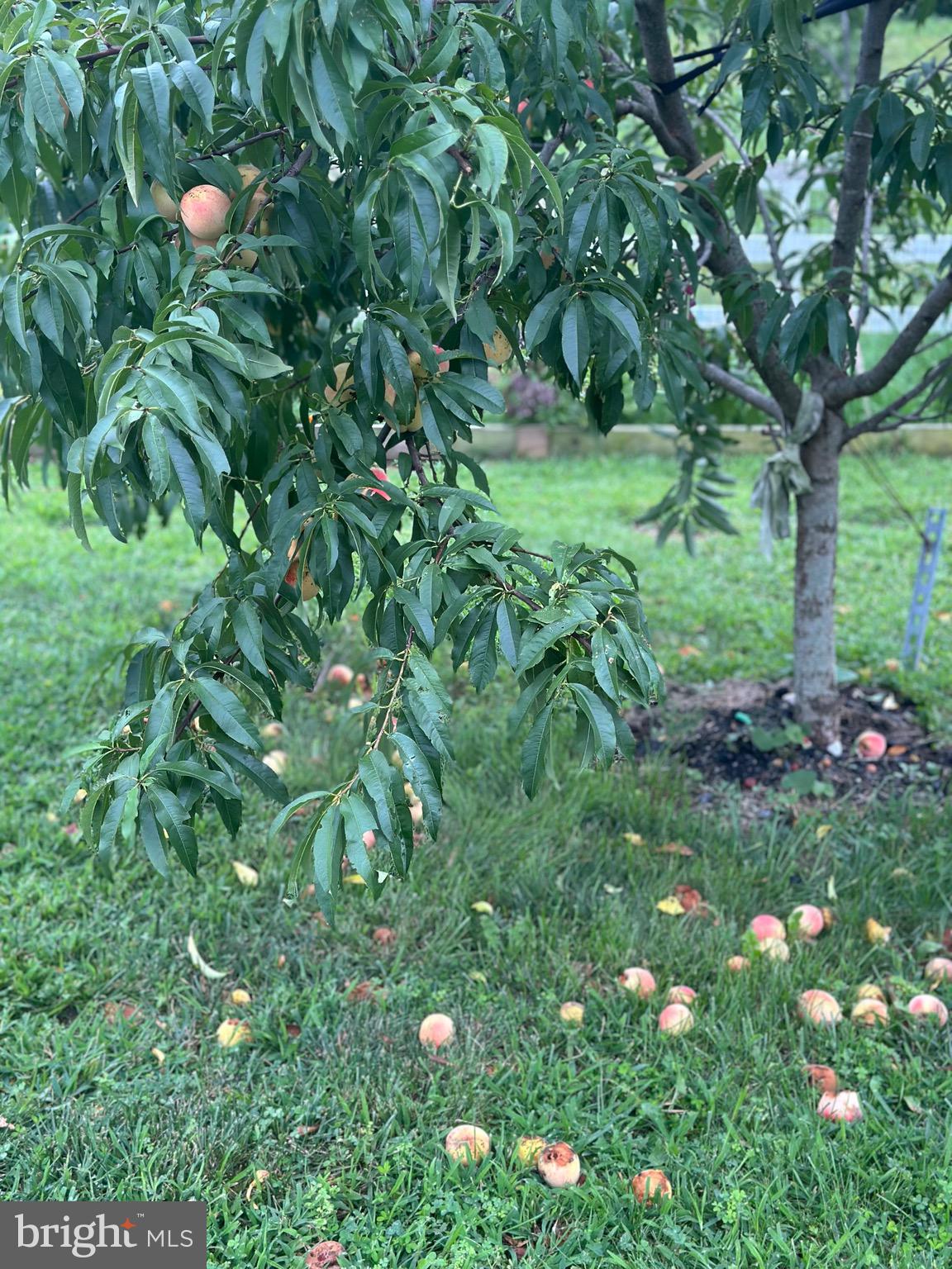 HYETTS CROSSING - Residential