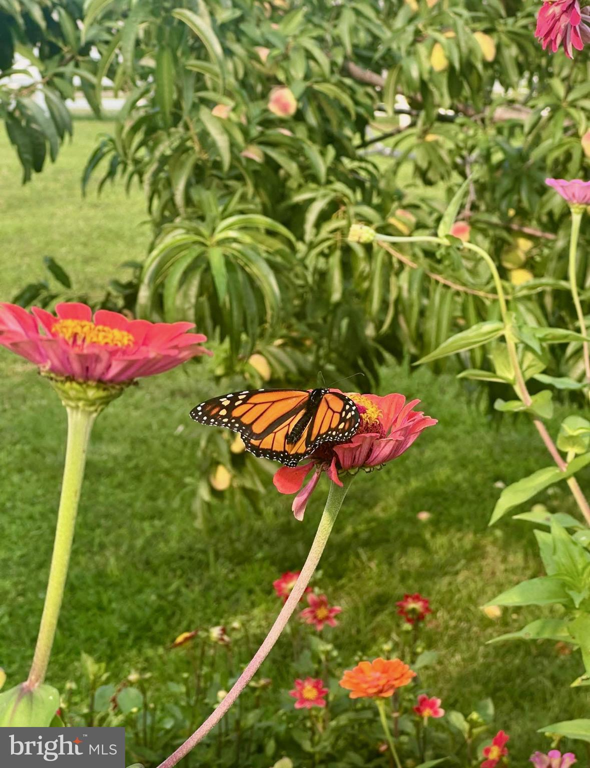 HYETTS CROSSING - Residential