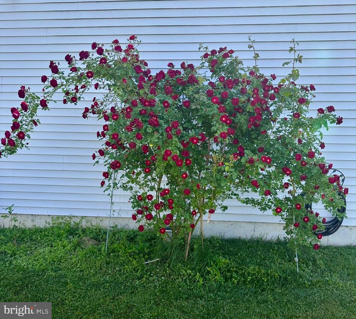 HYETTS CROSSING - Residential