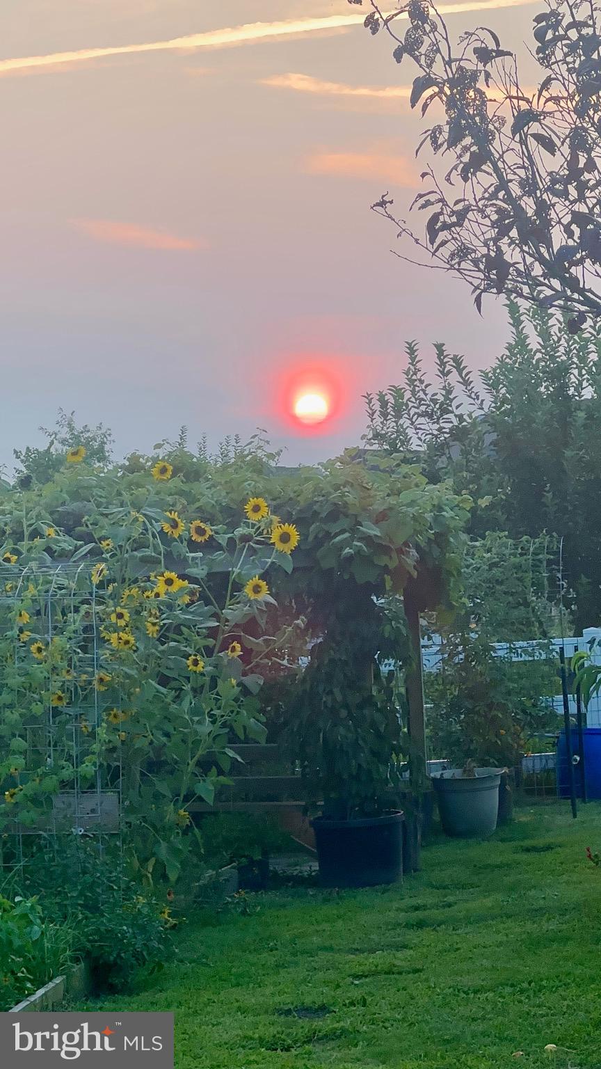 HYETTS CROSSING - Residential