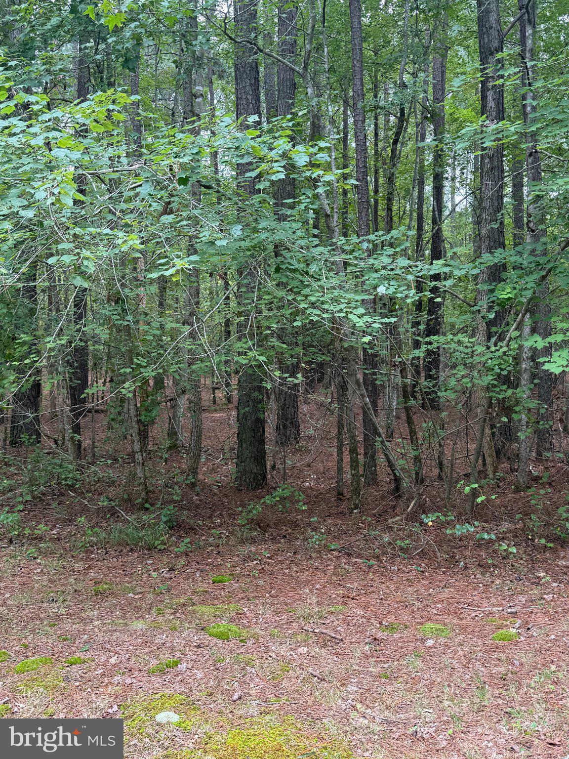 23301 NANTICOKE ROAD