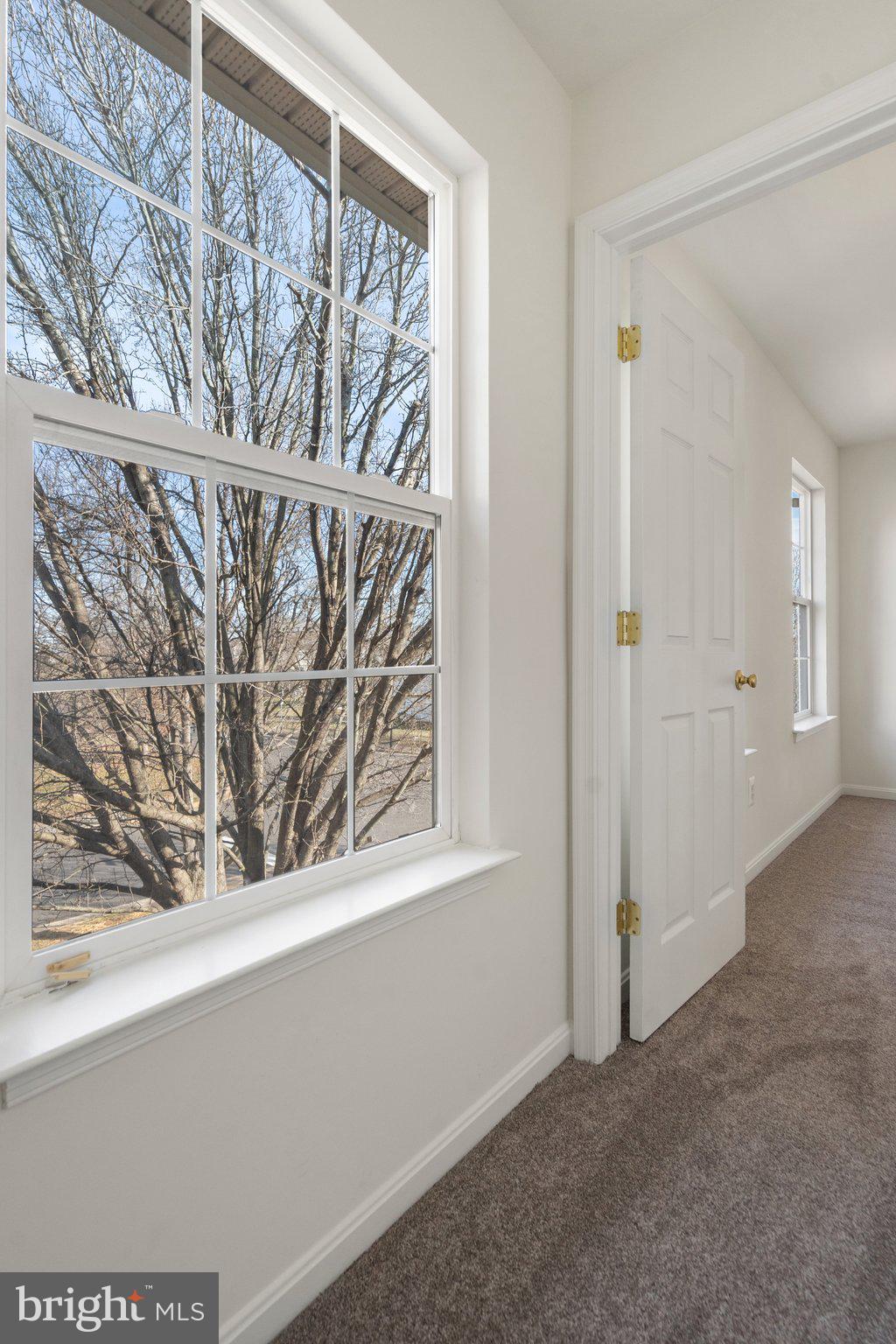 LAKEVIEW OF CULPEPER - Residential