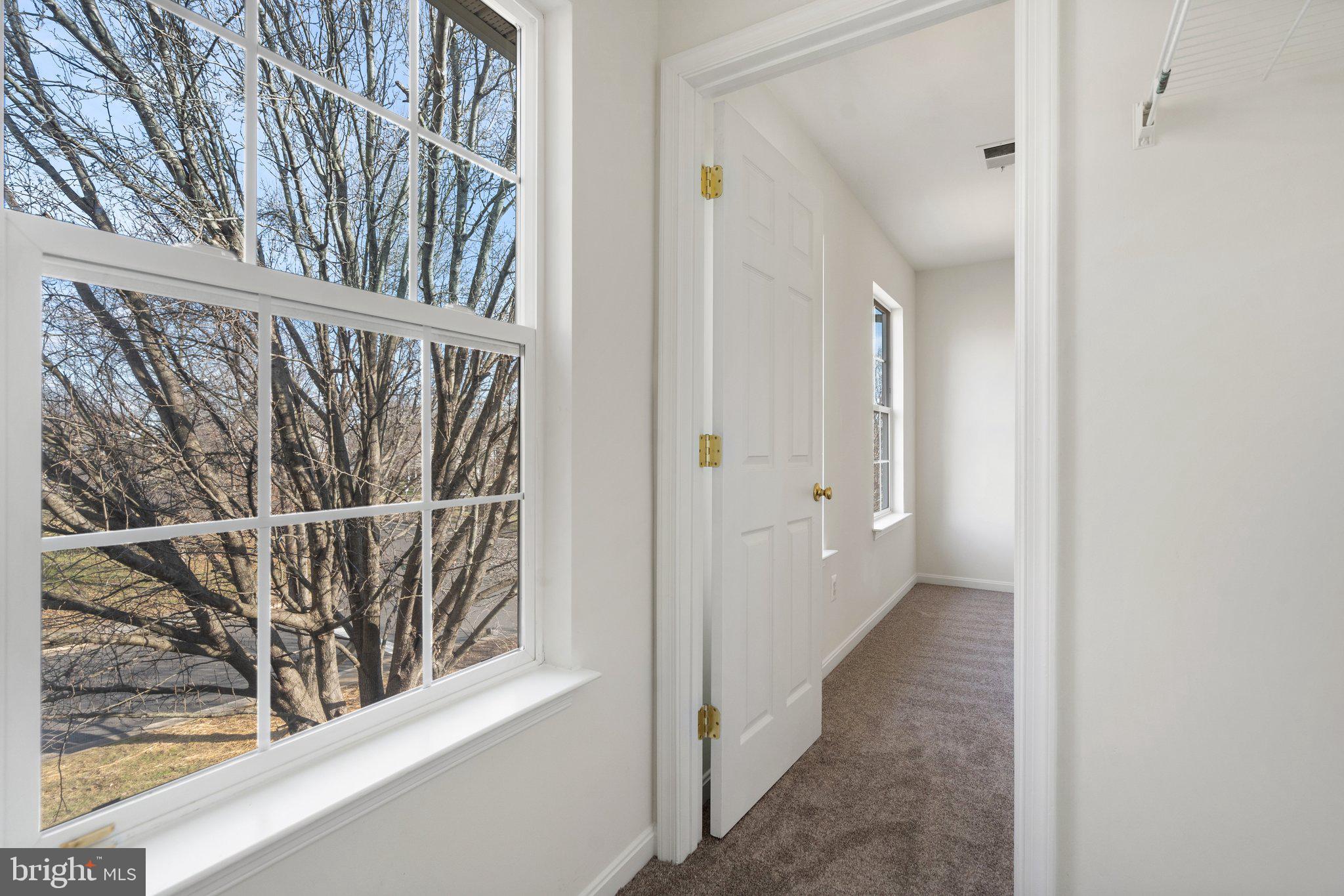 LAKEVIEW OF CULPEPER - Residential