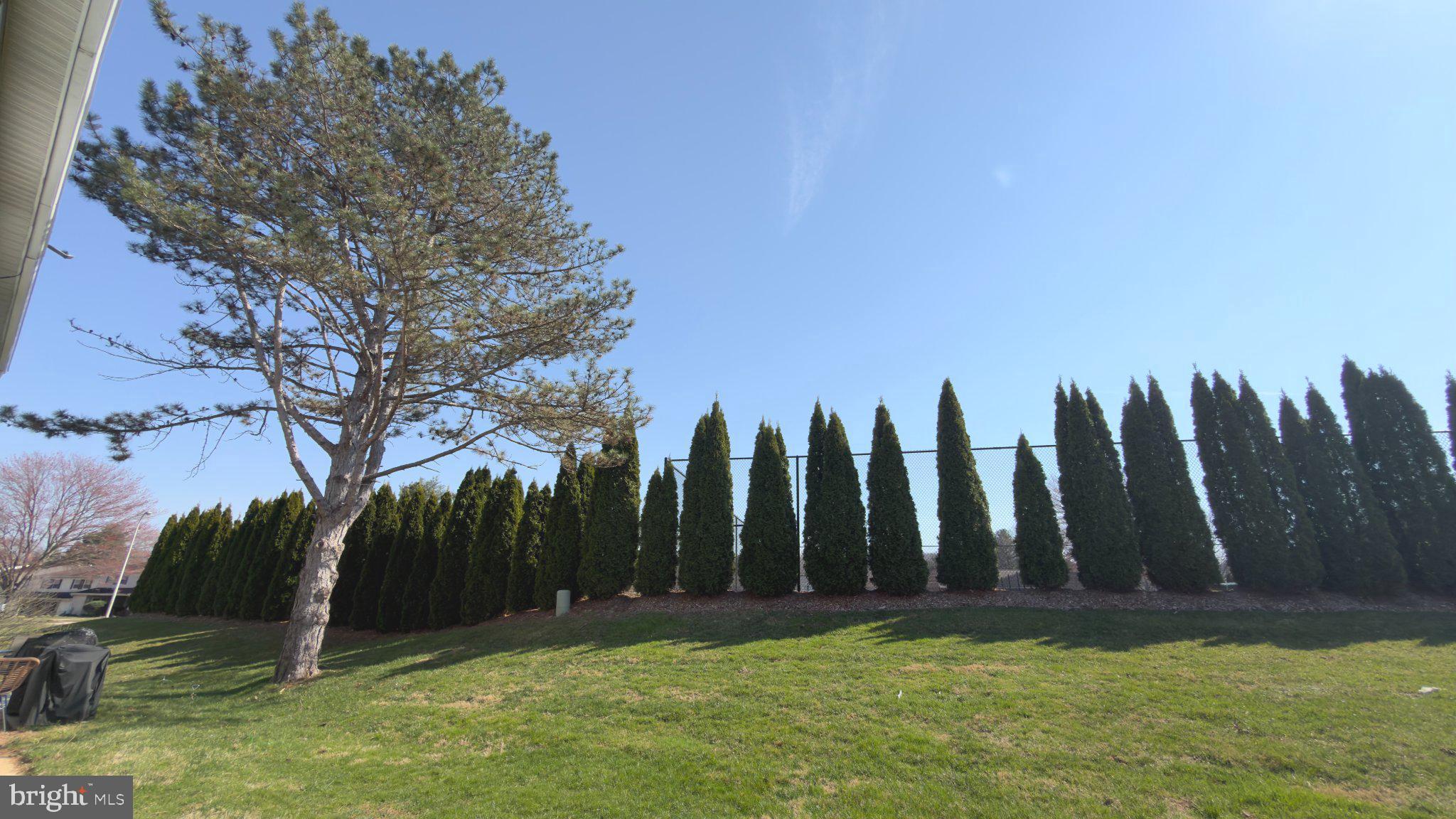 WEDGEWOOD ESTATES - Residential