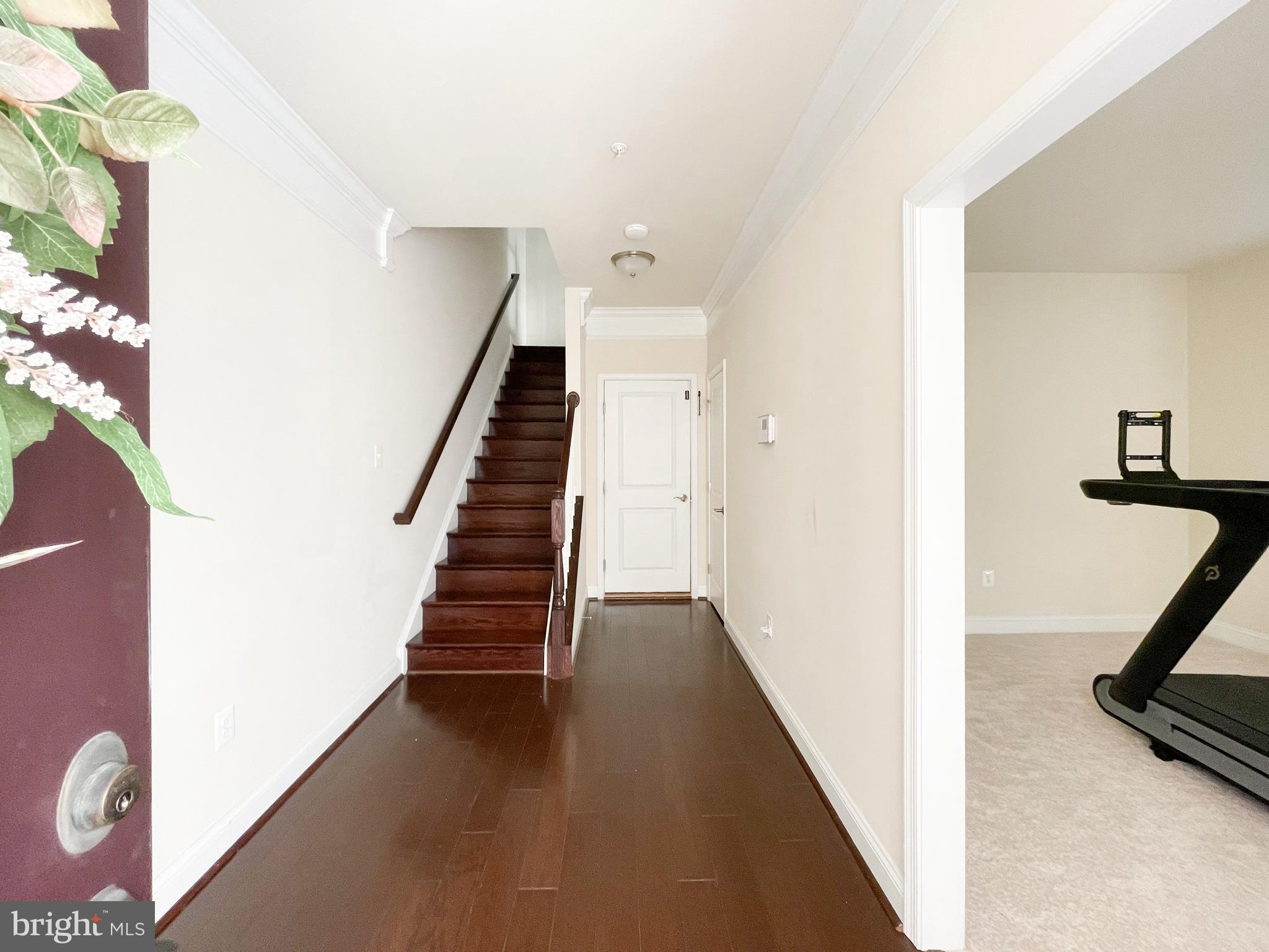 TOWSON GREEN - Residential