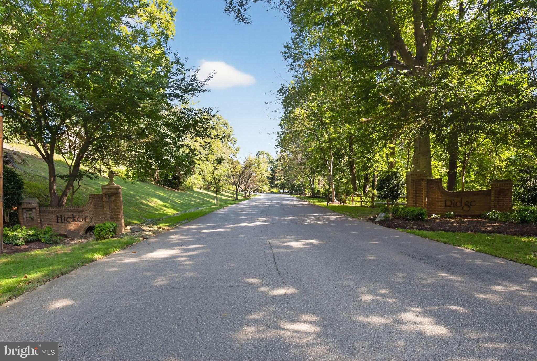 HICKORY RIDGE LA PLATA - Residential