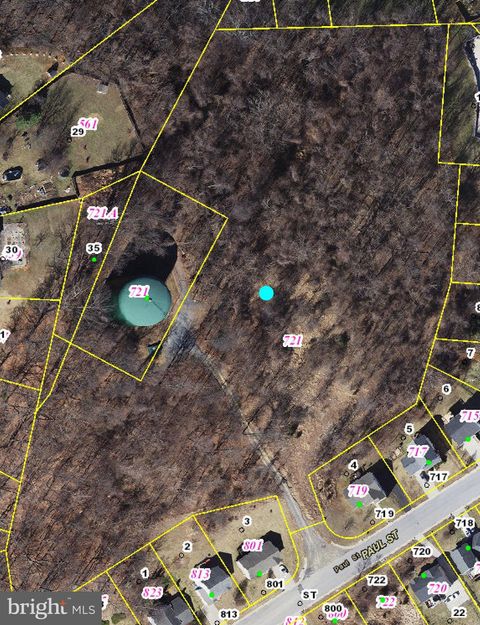 Vacant Land For Sale - 721 Paul Street<br/> Staunton City County, STAUNTON, VA 24401