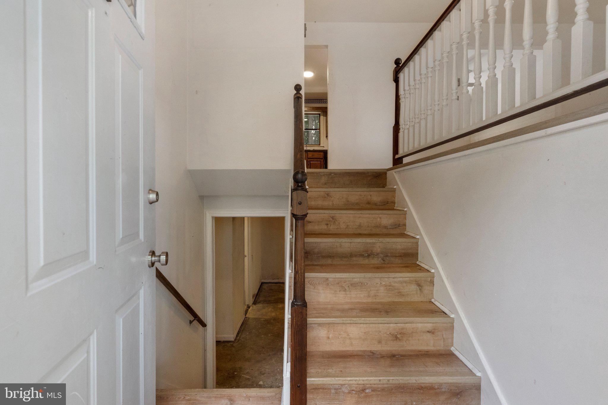 241 THRUSH LANE