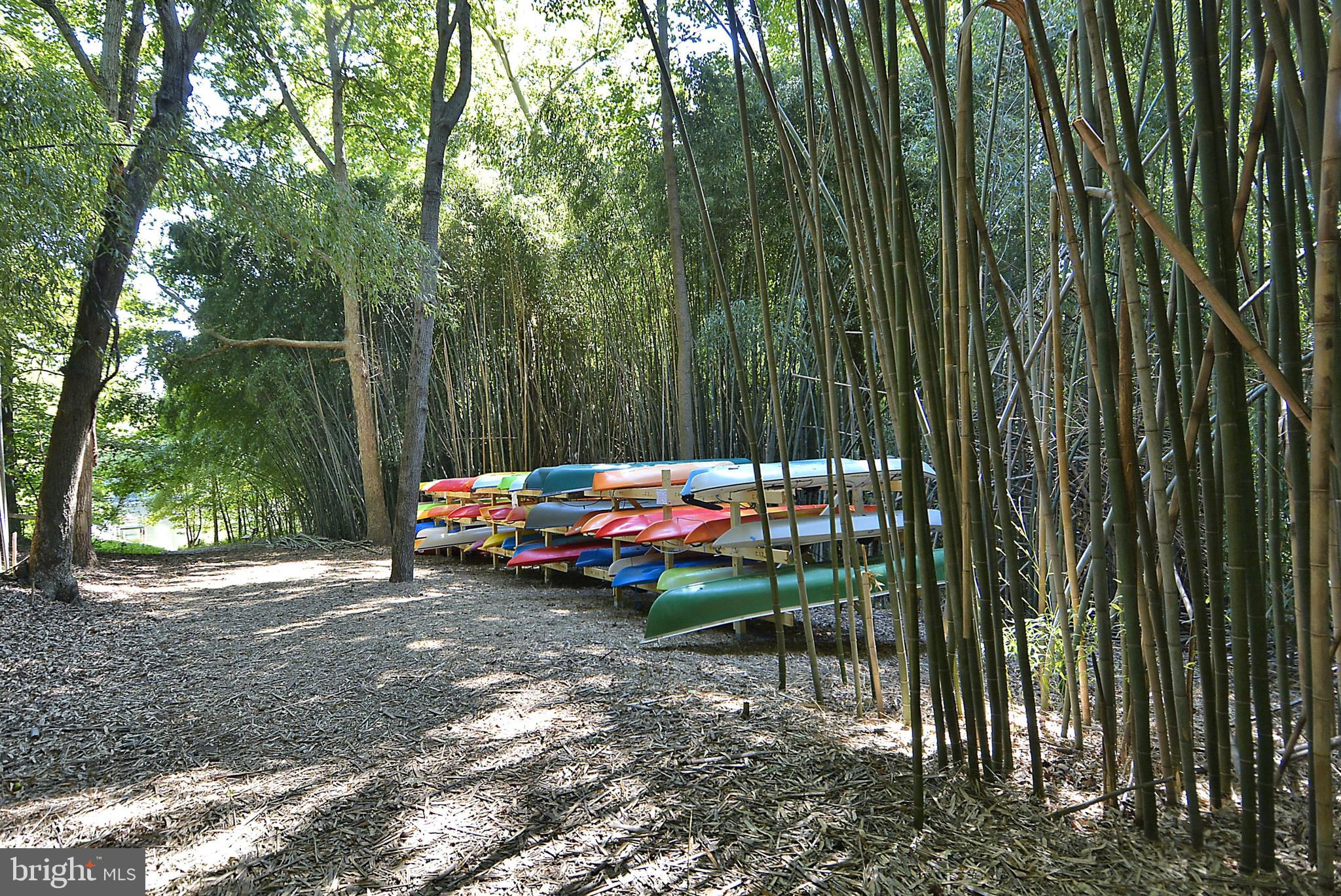 RIVA TRACE - Residential