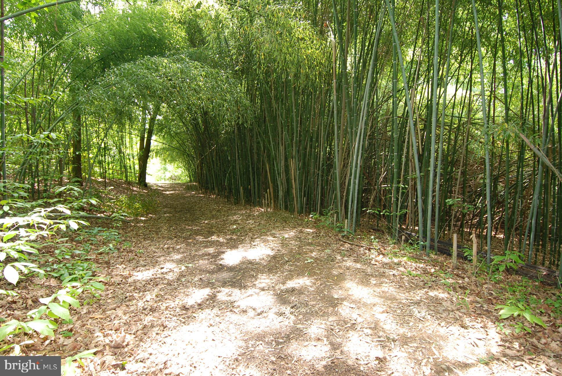 RIVA TRACE - Residential