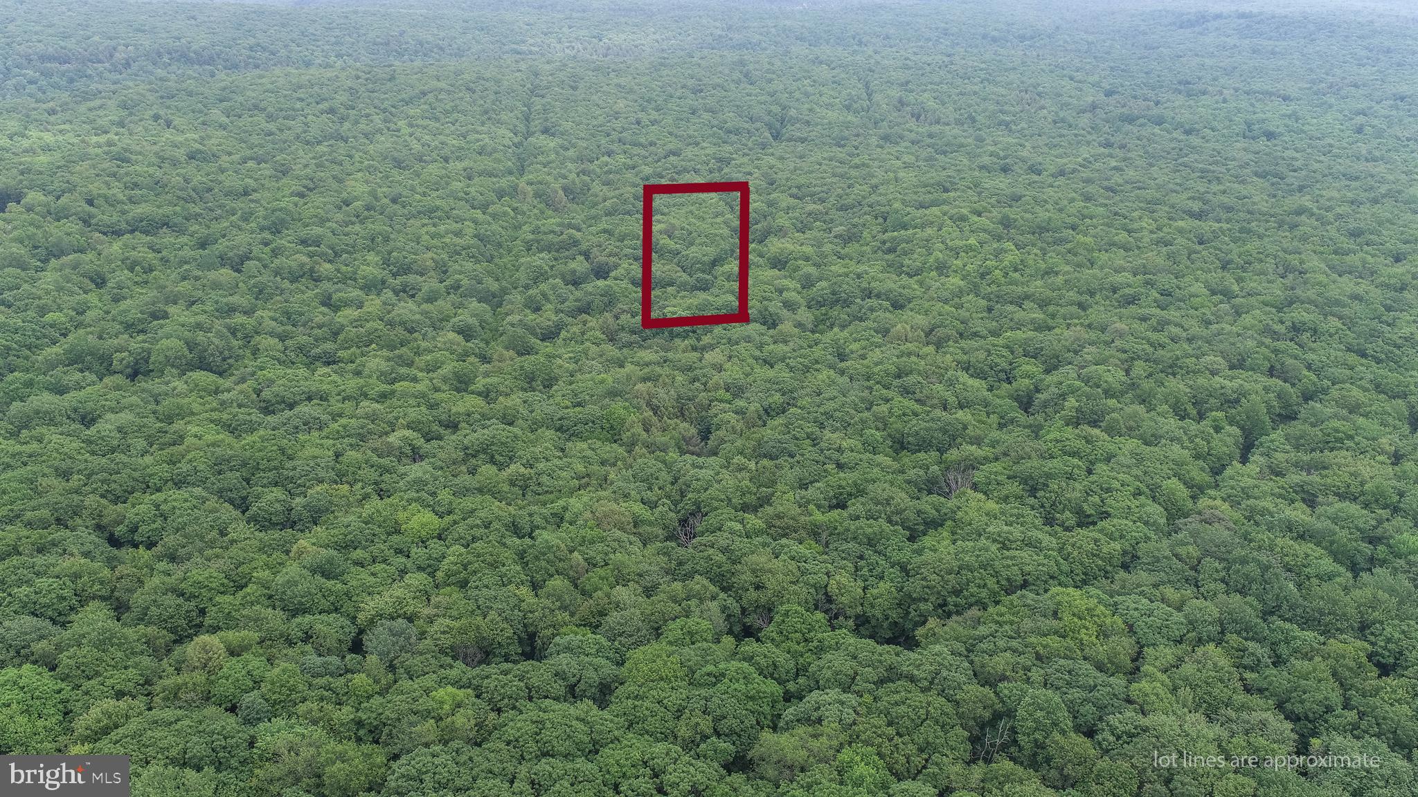 Lot 31 FAWN DRIVE