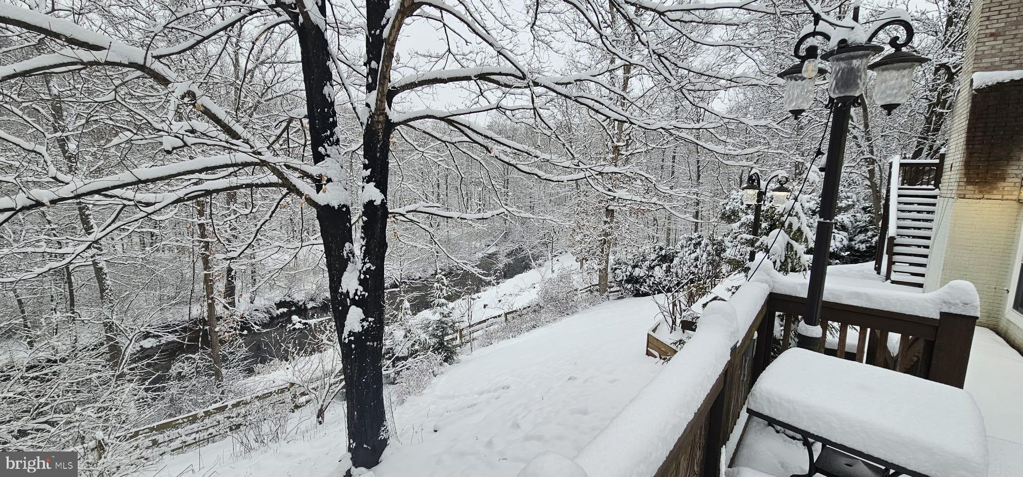 GREAT FALLS FOREST - Residential