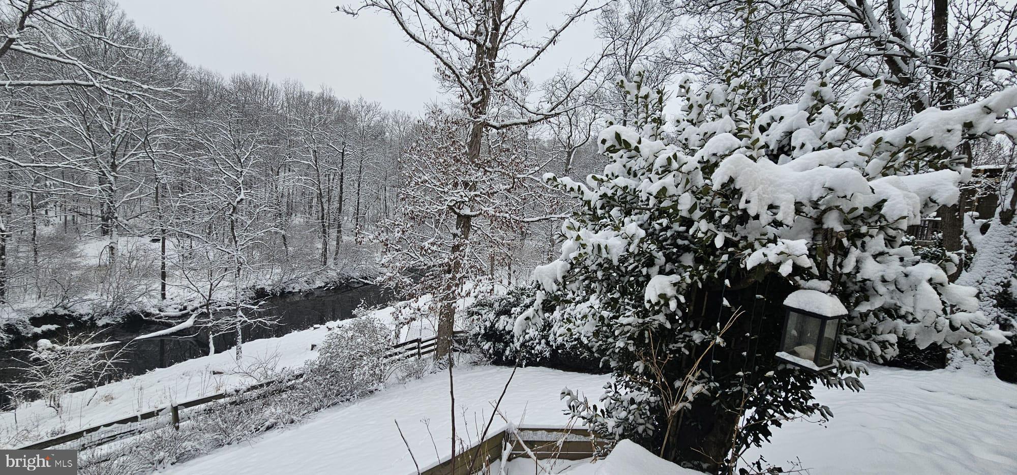 GREAT FALLS FOREST - Residential