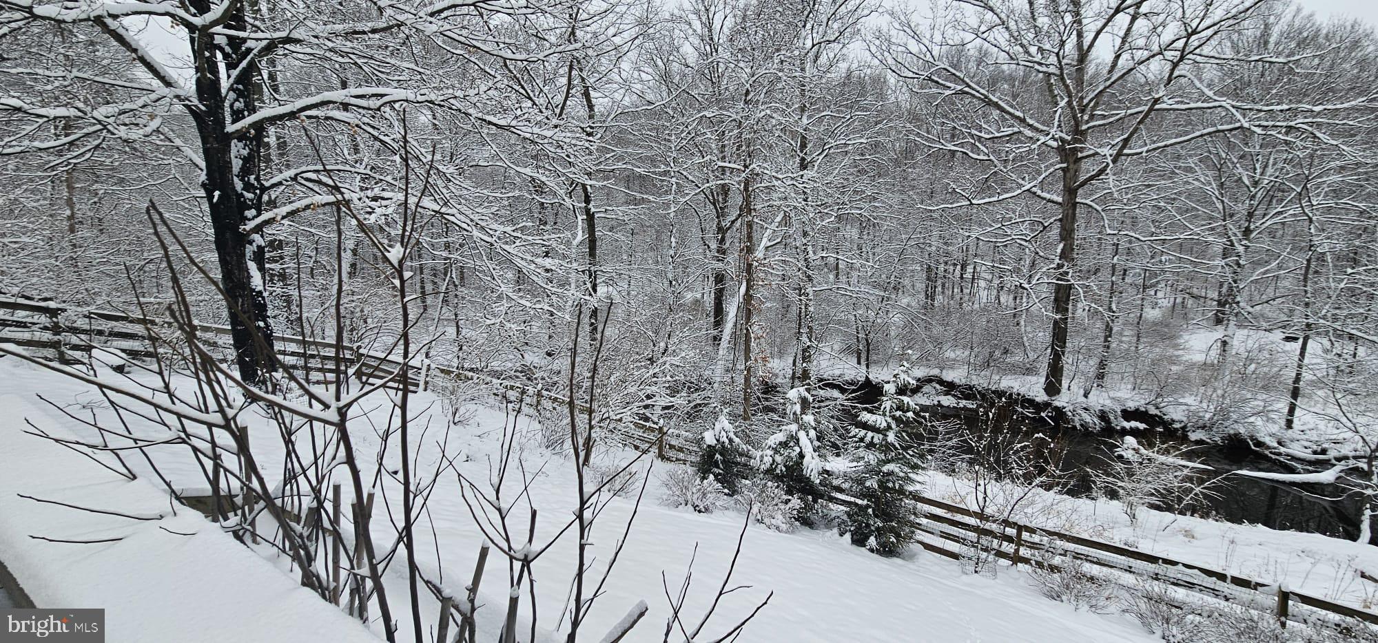 GREAT FALLS FOREST - Residential