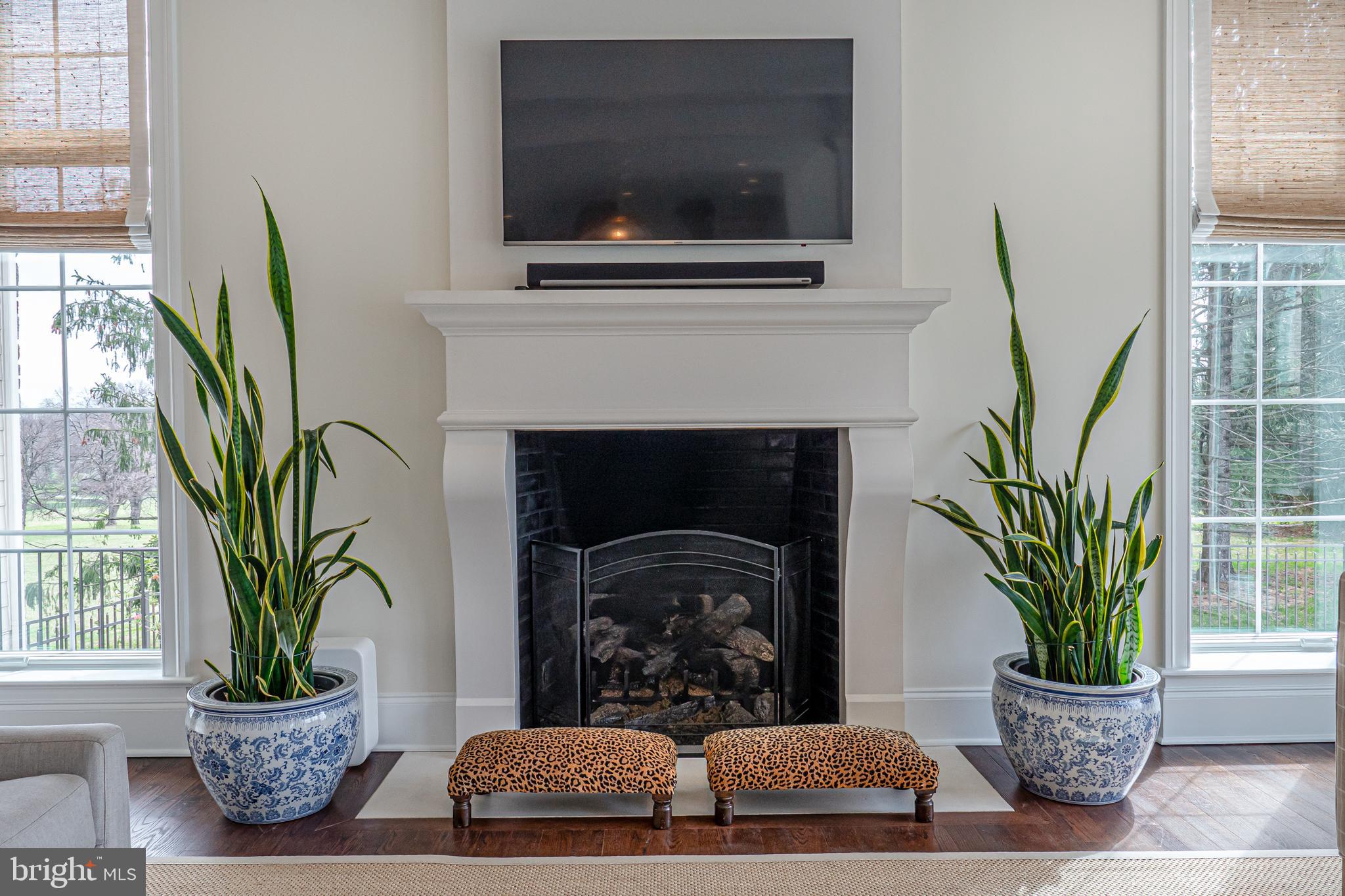 THE WOODS AT ROSE TREE - Residential