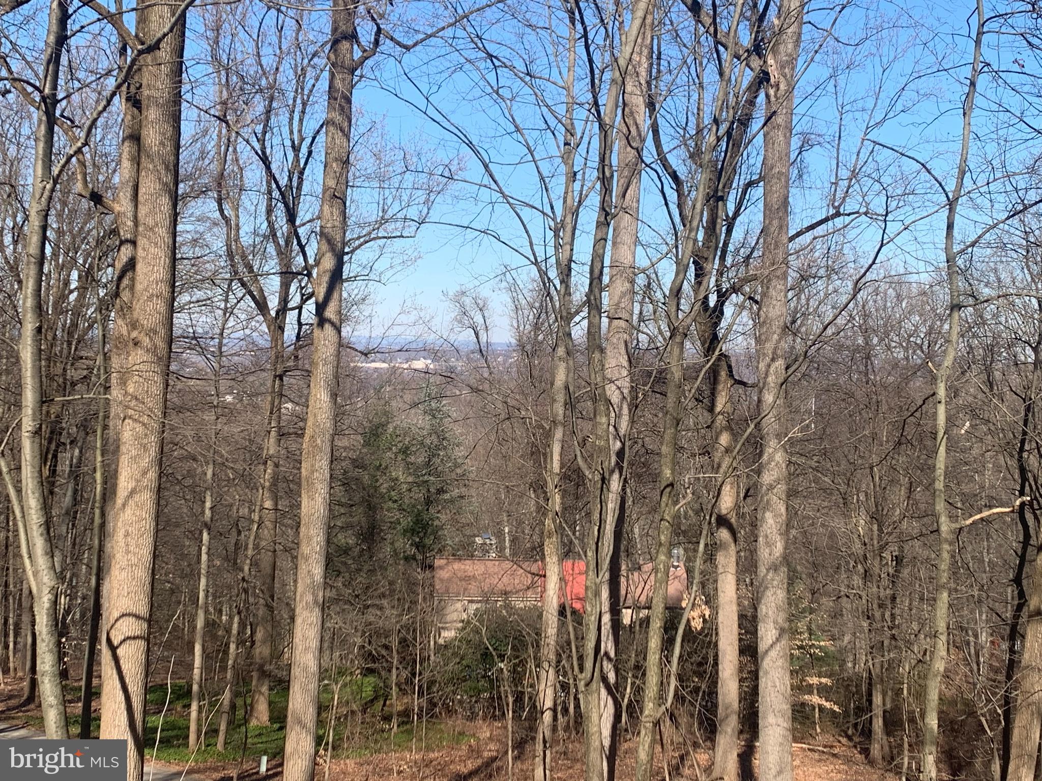 VALLEY FORGE MTN - Residential