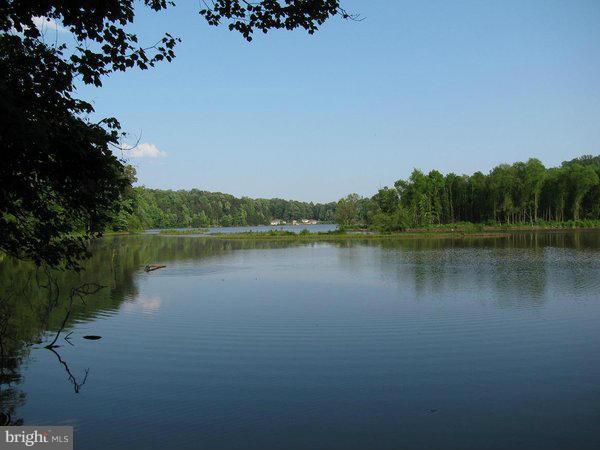 CARDINAL FOREST - Residential