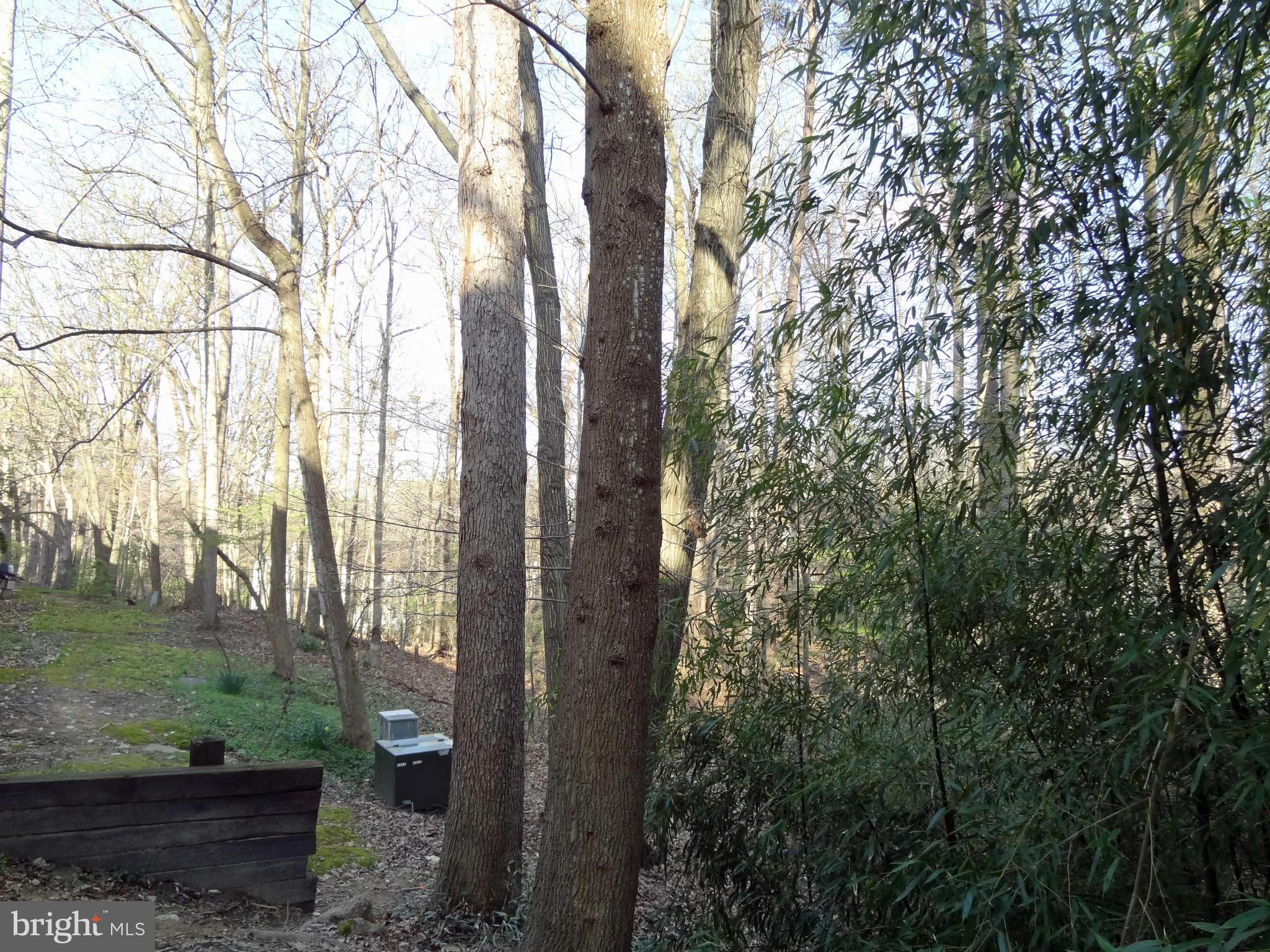 CARDINAL FOREST - Residential