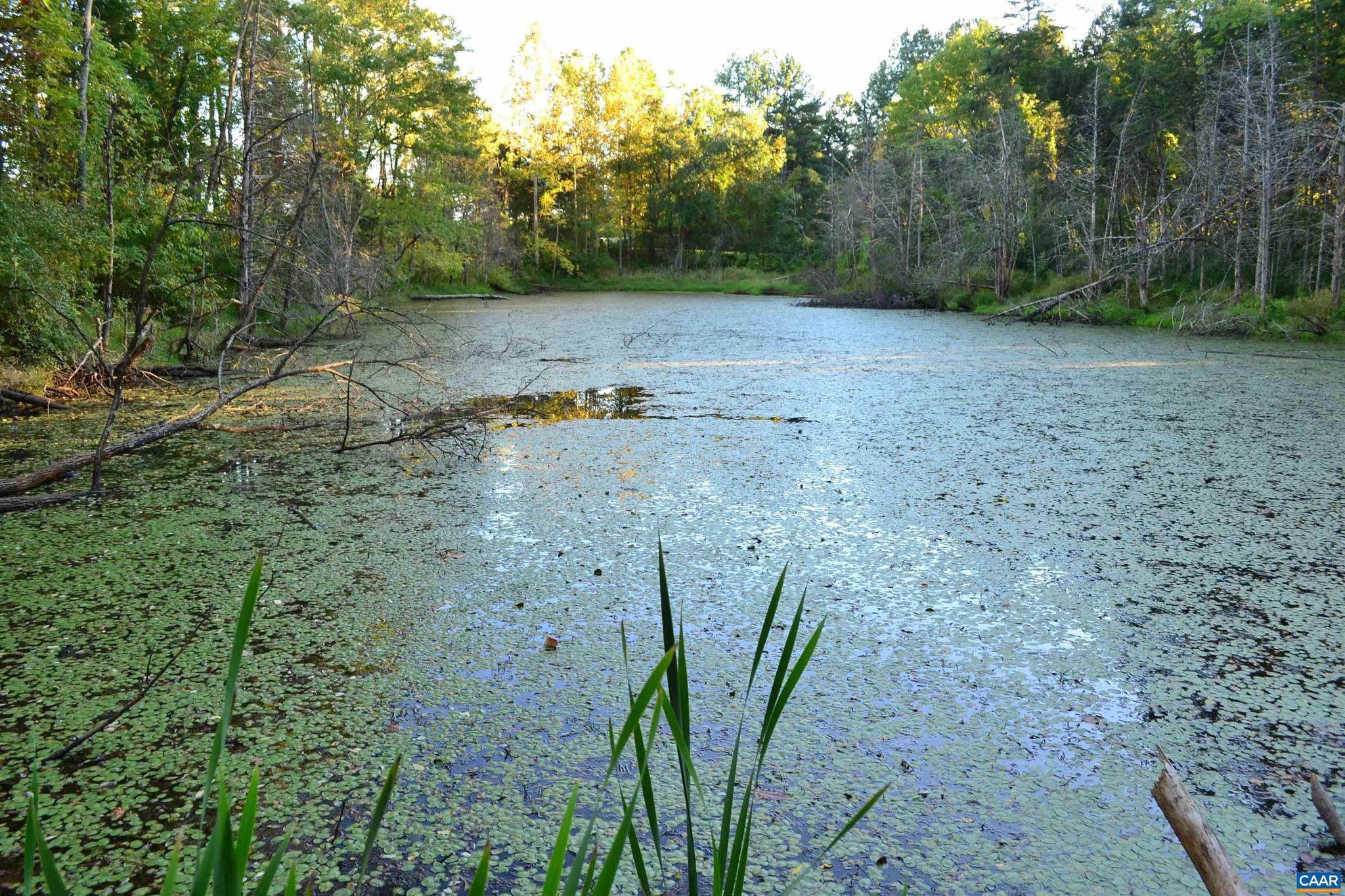 2A SCOTTSVILLE RD 2A