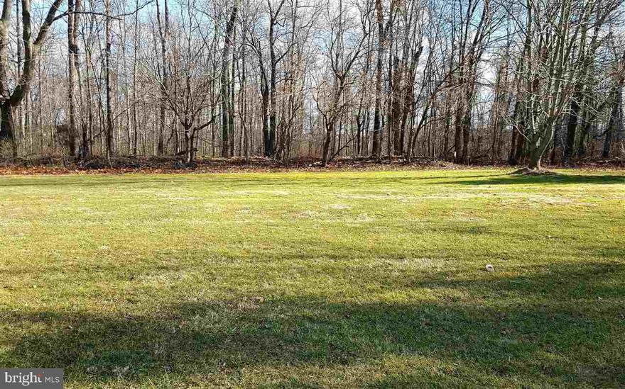 Nice level lot front is clear and rear of lot is wooded. Perk approved and site plan available. Great location with easy commute to Maryland.