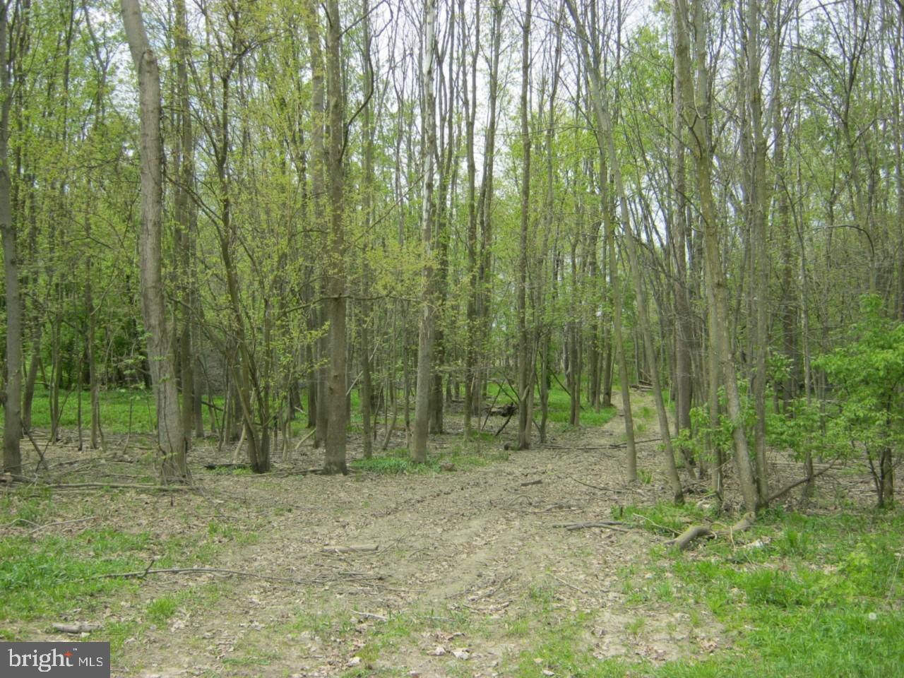 ACCOKEEK LAWN - Land