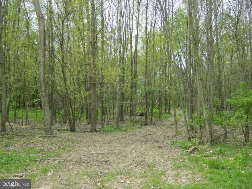 Welcome to the essence of serenity and convenience! Nestled in the heart of Prince George's County, this enchanting 1-acre lot, bathed in the golden glow of sunlight filtering through the leaves, awaits your vision of the perfect home. But wait, there's more—the opportunity to own the adjacent 3.15-acre lot at 1717 W Accokeek Road, creating a sprawling canvas for your dream abode. ($280,000 for both) These 2 lots are sold together.
Embrace the allure of a highly desirable and rapidly growing area, strategically positioned for easy access to major commuter routes and bus lines. Just 16 miles from the vibrant energy of Washington DC and a stone's throw away from the majestic Potomac River, this location effortlessly combines urban accessibility with the tranquility of nature.
Picture your dream home on this level lot, surrounded by panoramic views that soothe the soul. Public water, public sewer, and natural gas stand ready at your fingertips, ensuring seamless connectivity to essential amenities.
The current owner has meticulously paved the way for your construction journey, deeding a generous 14' additional access easement from 1719 W Accokeek Road. The flagpole-shaped access has now blossomed to a spacious 29' width, providing ample room for the ebb and flow of construction traffic. As you envision your dream home, peruse the attached survey, access easement plat, and the tantalizing conceptual site development plan proposed by a seasoned builder. 14' wide section of access easement on 1725 W Accokeek Road has not been recorded to provide overall 29' wide access for 1717 W Accokeek Road.
Seize this opportunity to not just own a piece of land but to claim a lifestyle—an oasis where convenience meets tranquility, and dreams take root. The canvas is set; it's time to paint your future on this sun-dappled masterpiece of a lot.