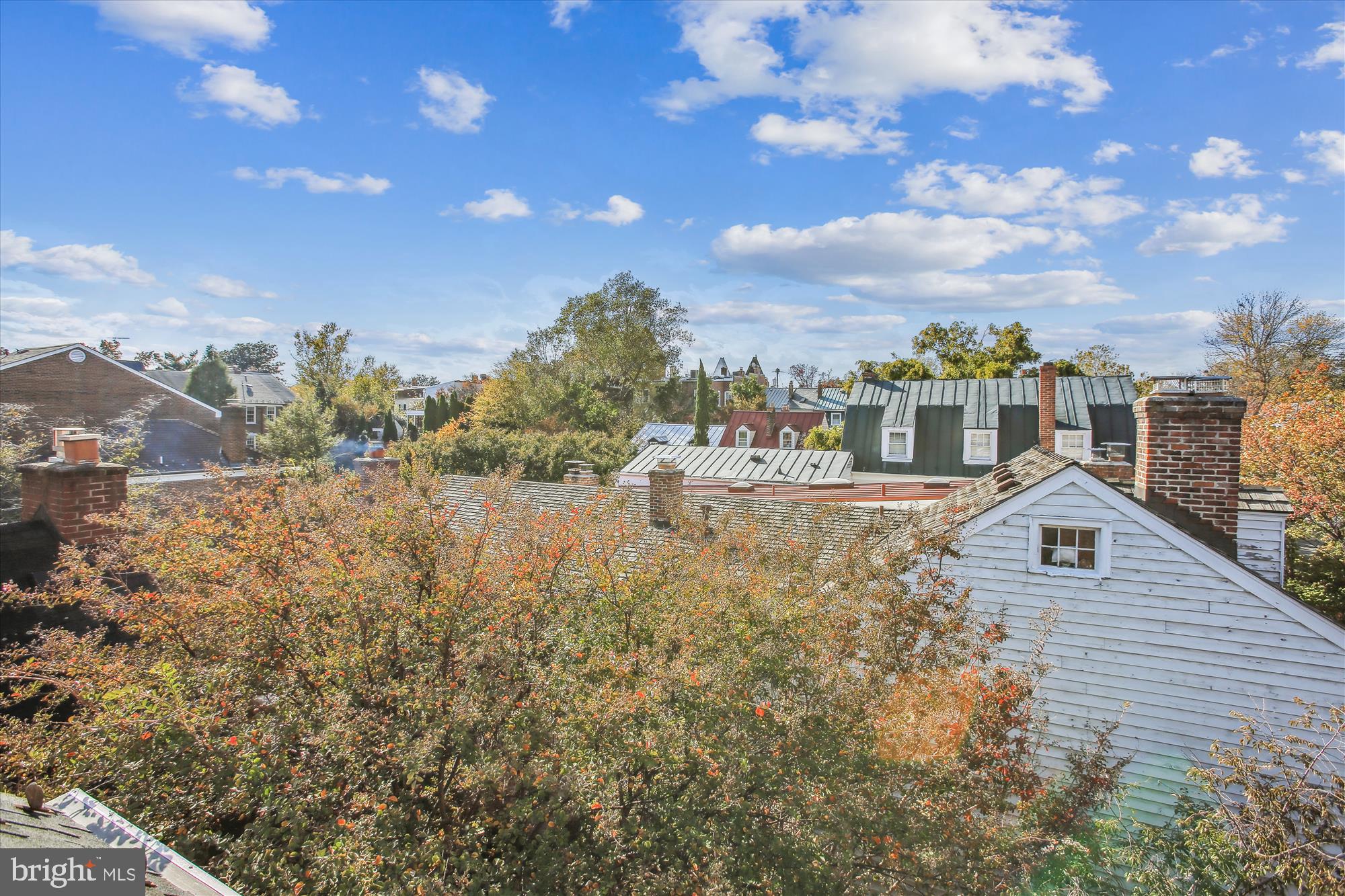 OLD TOWN ALEXANDRIA - Residential