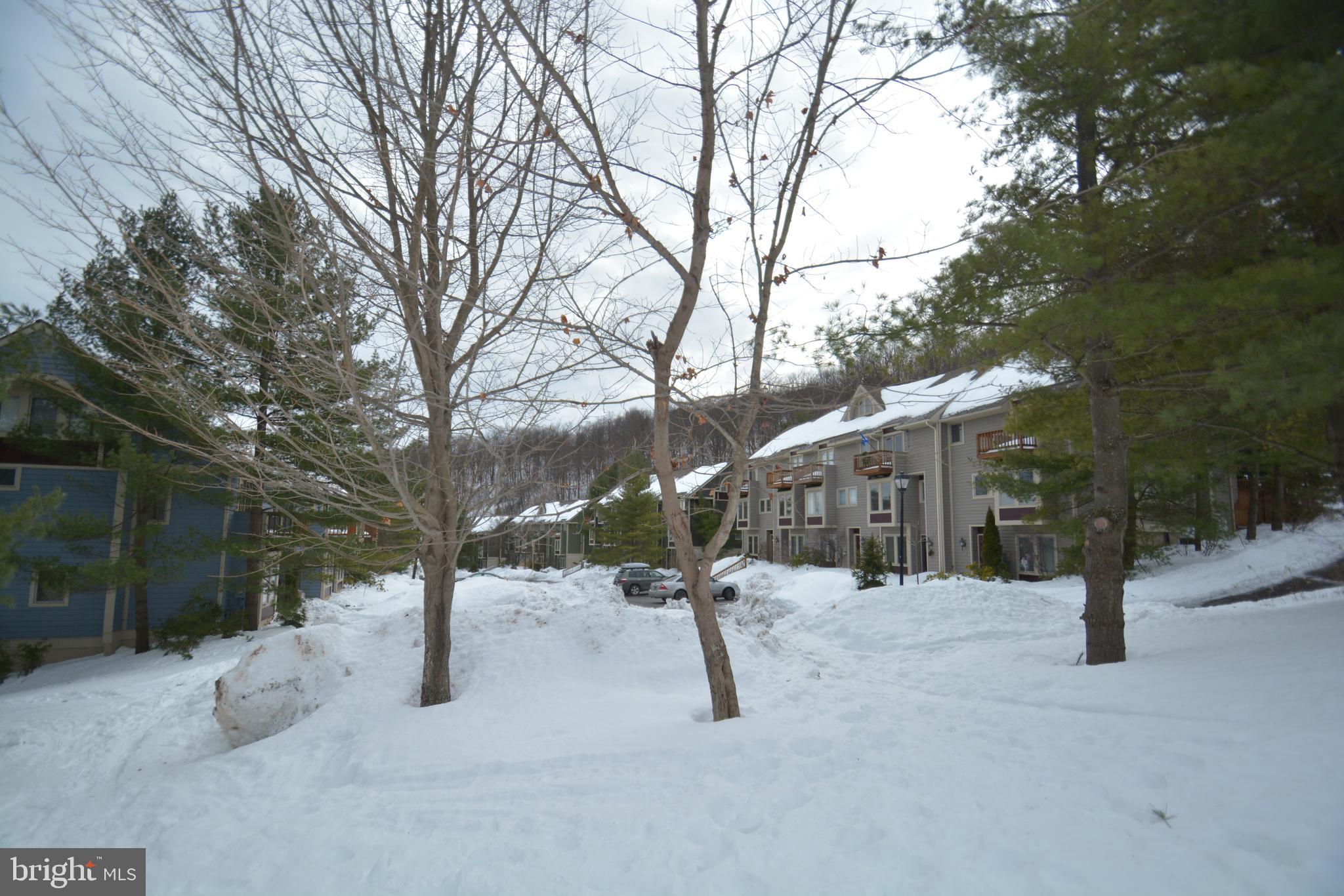 VILLAGES OF WISP - Residential