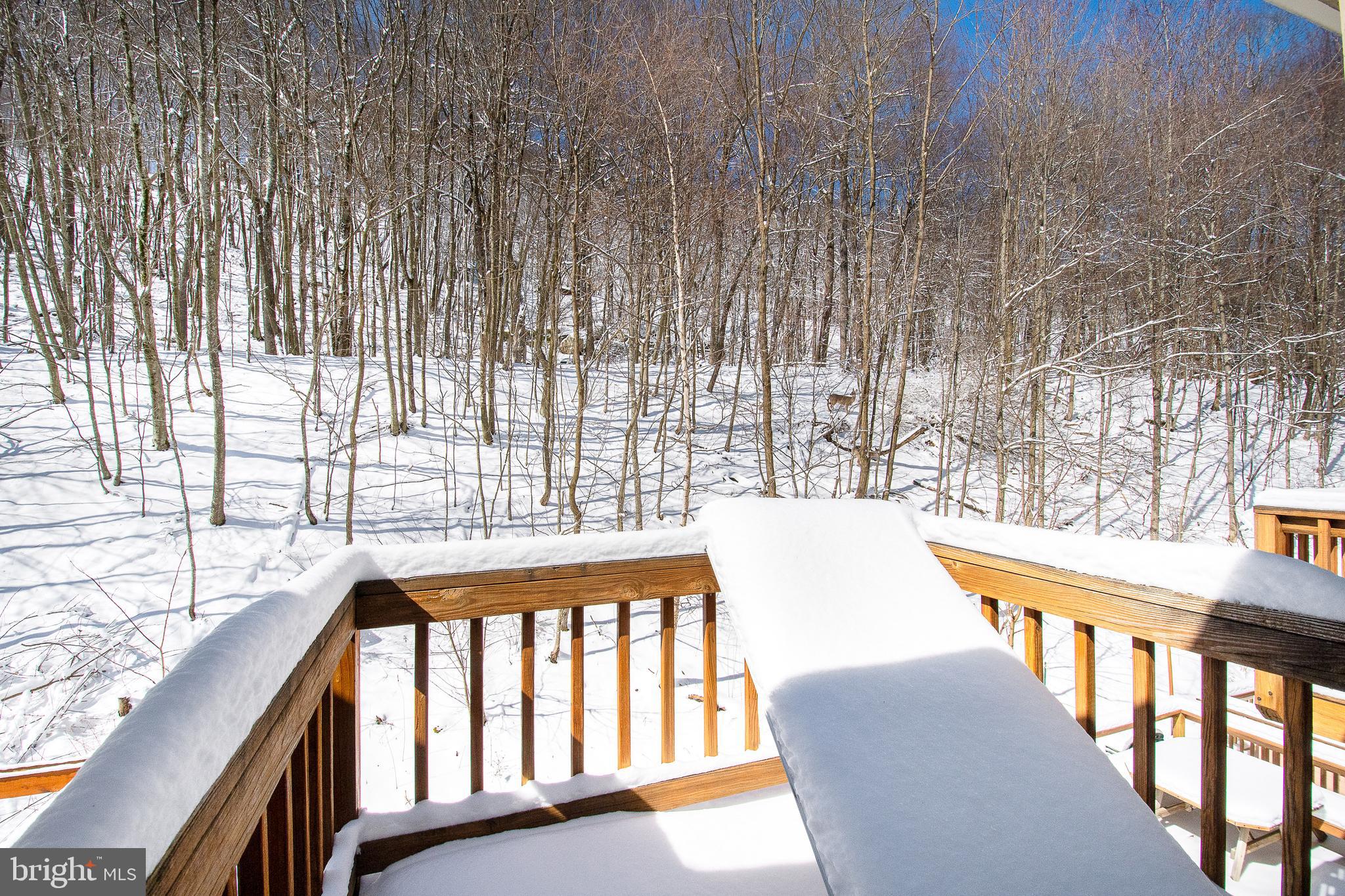 VILLAGES OF WISP - Residential