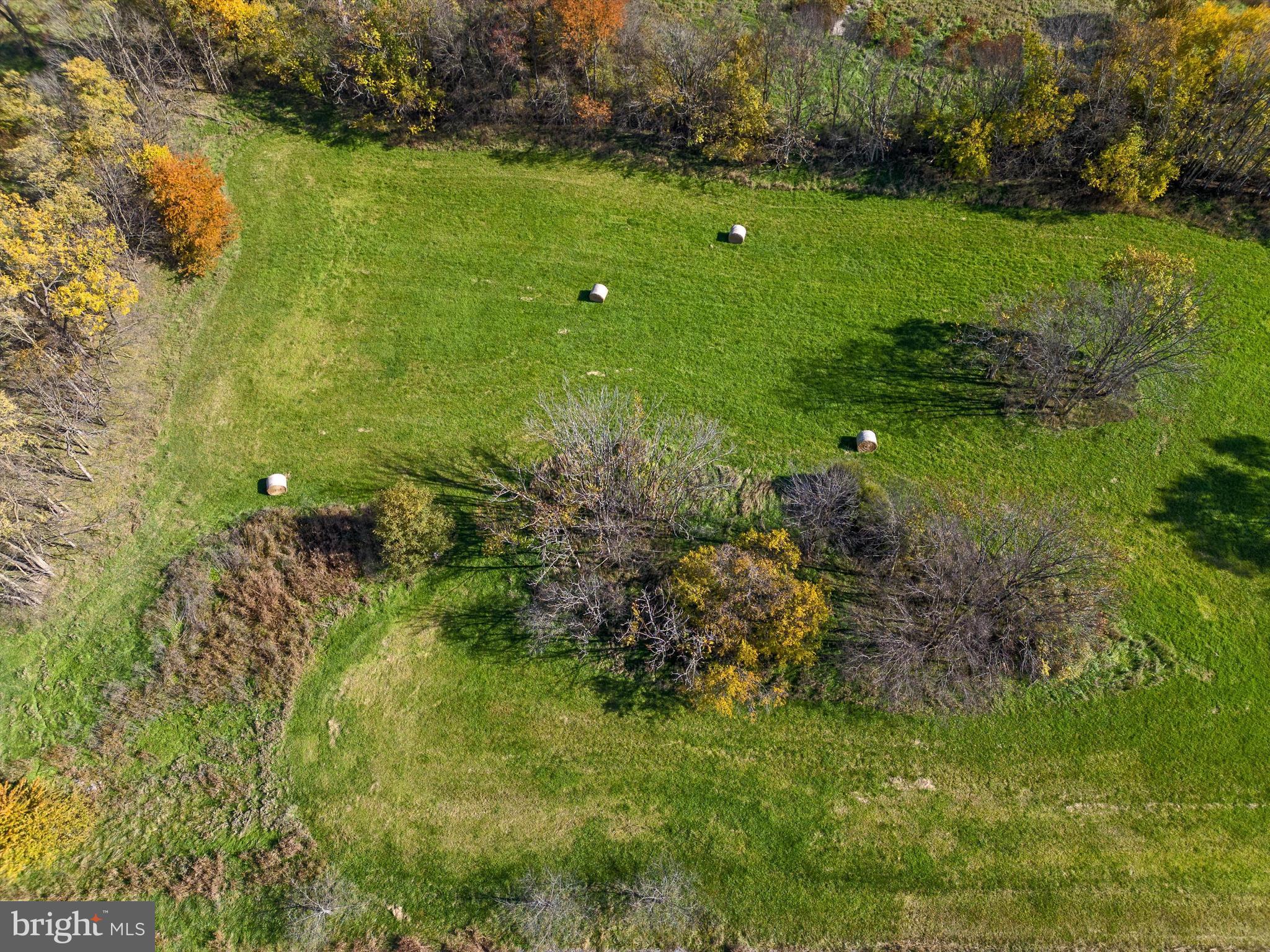 CROFTS-SHEPHERDSTOWN - Land