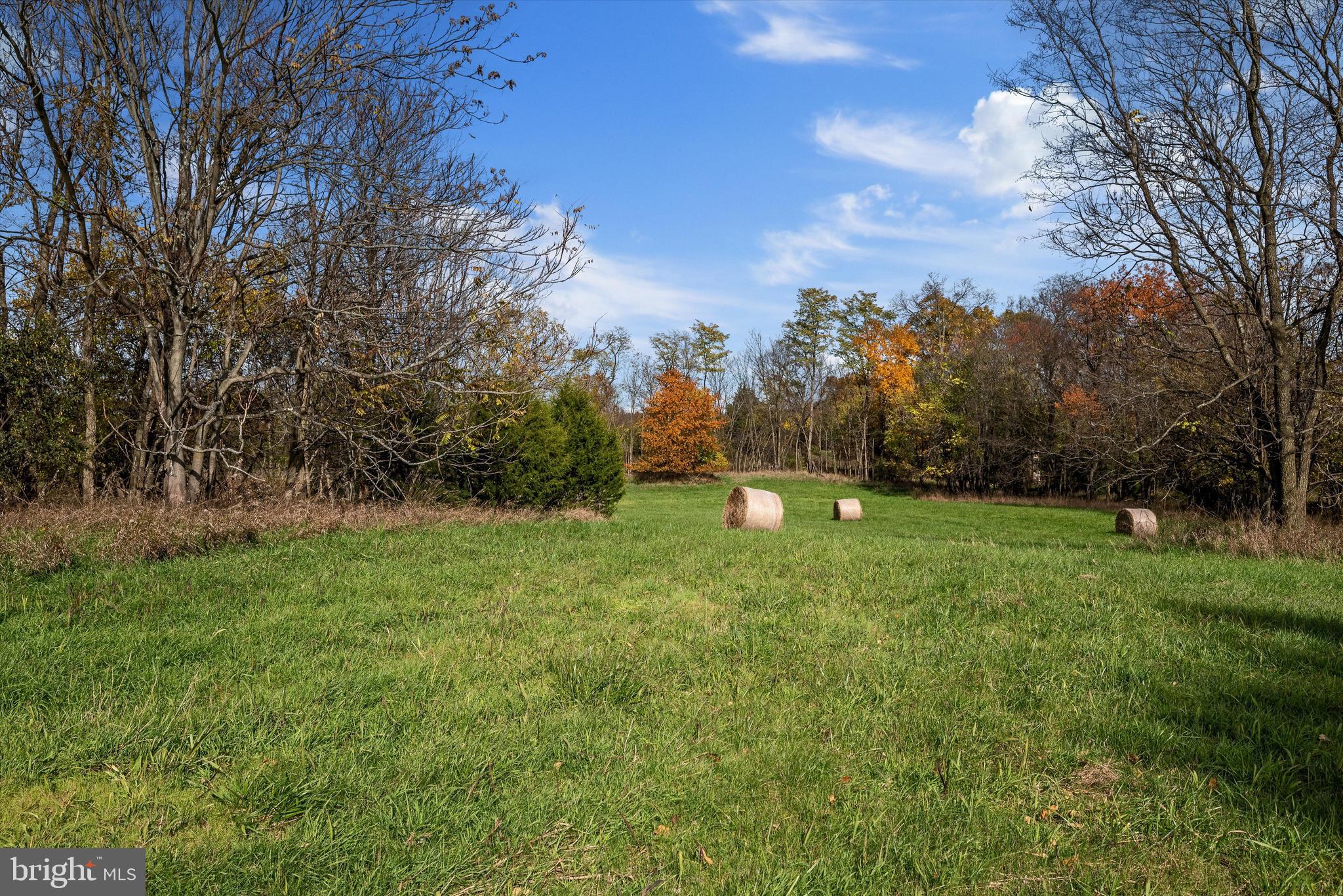 CROFTS-SHEPHERDSTOWN - Land