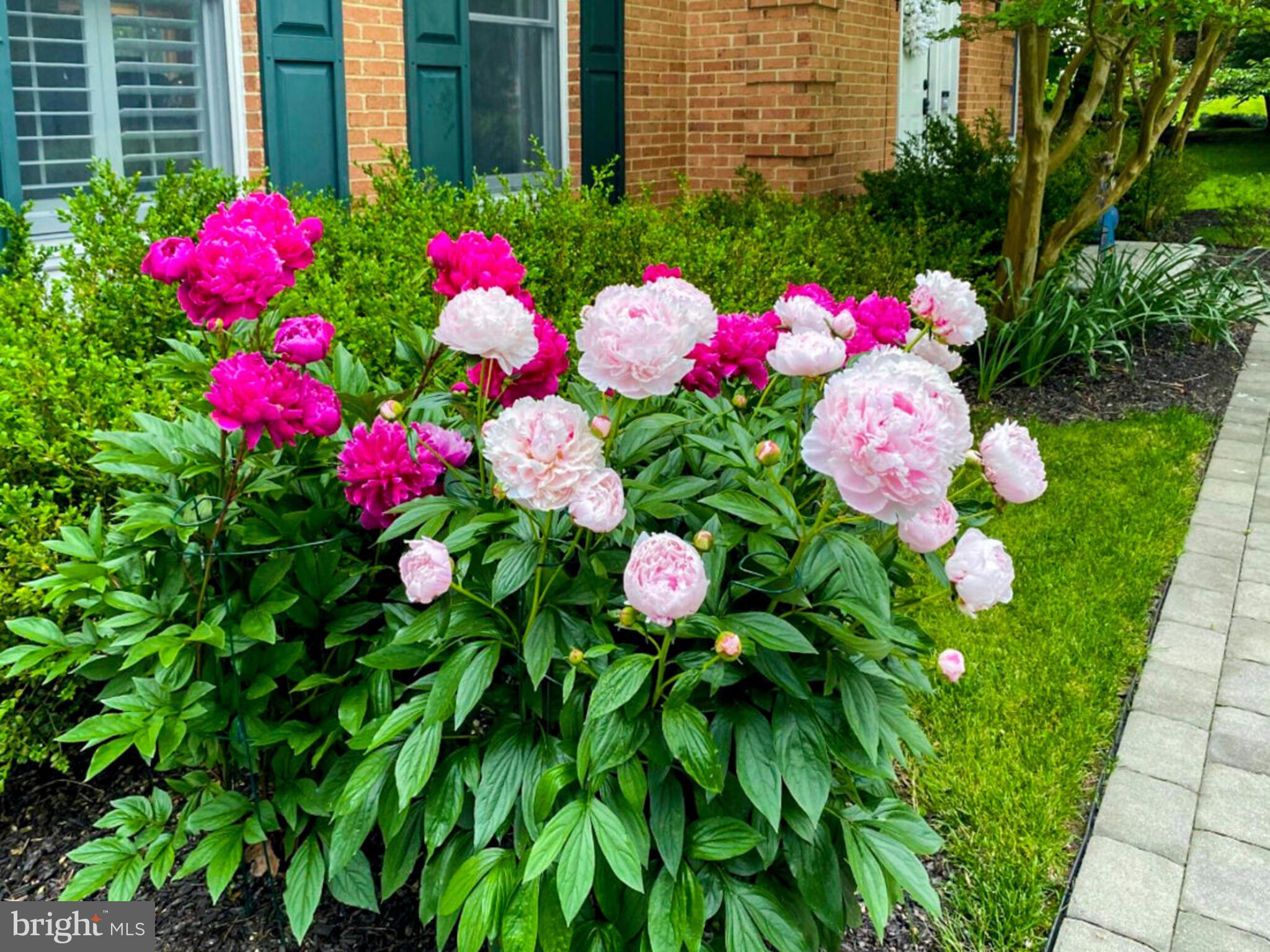 MOUNT HEBRON - Residential