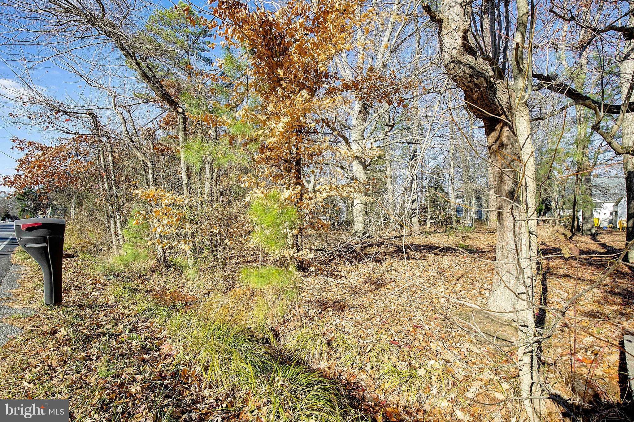 NORTH BEACH PARK - Residential