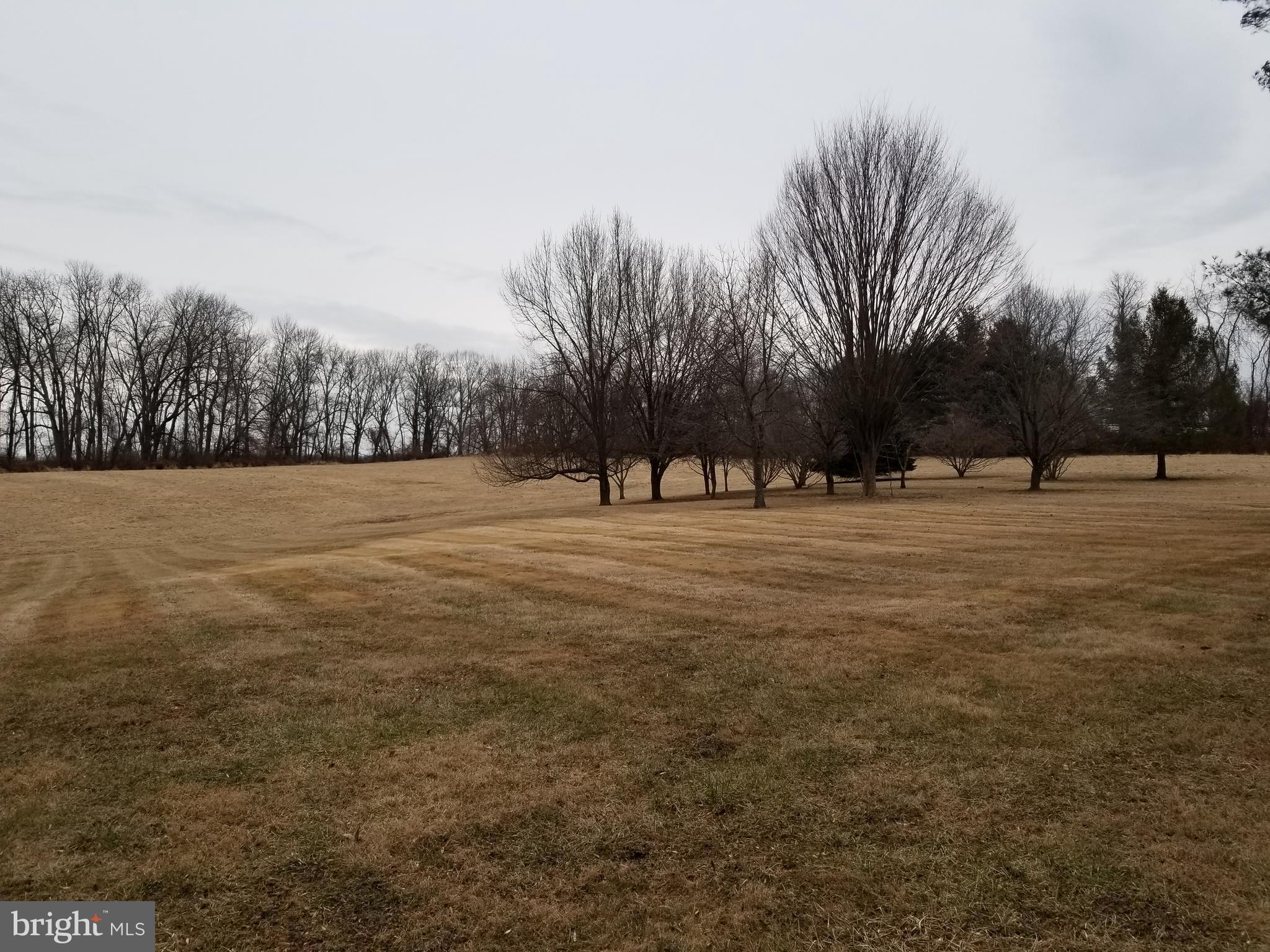 WORTHINGTON VALLEY - Farm