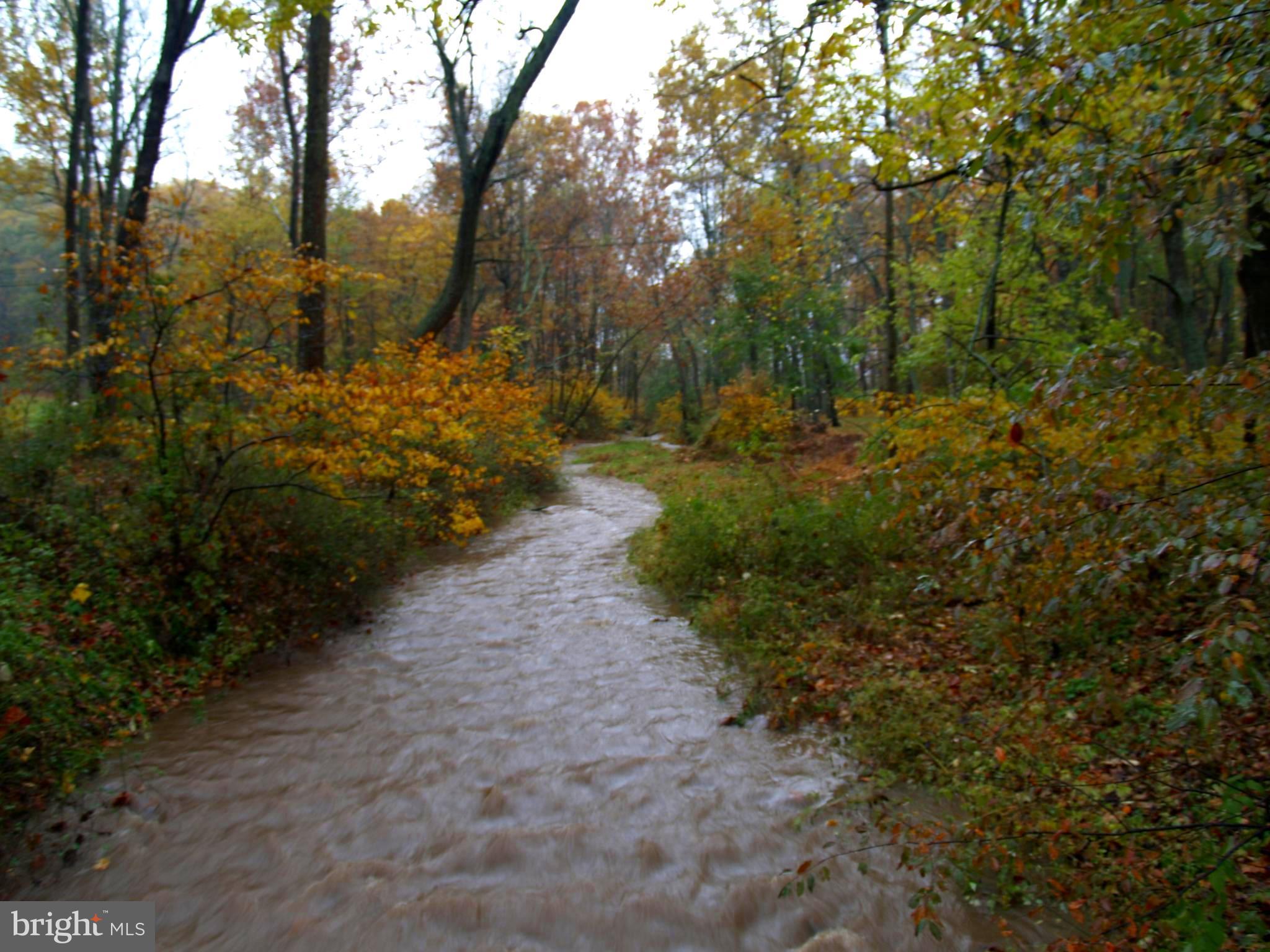 WORTHINGTON VALLEY - Farm